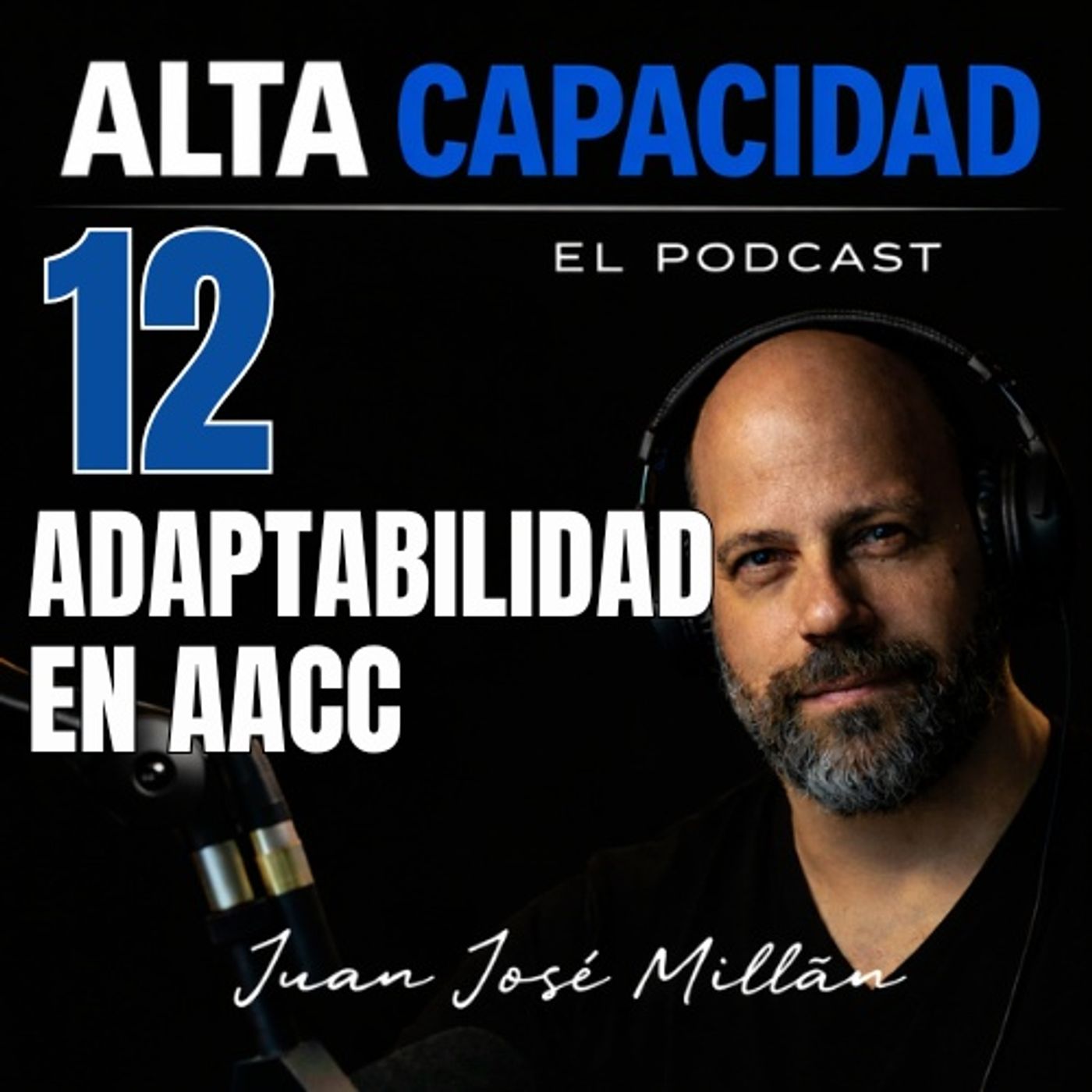 12 - Adaptabilidad en Altas Capacidades episode artwork