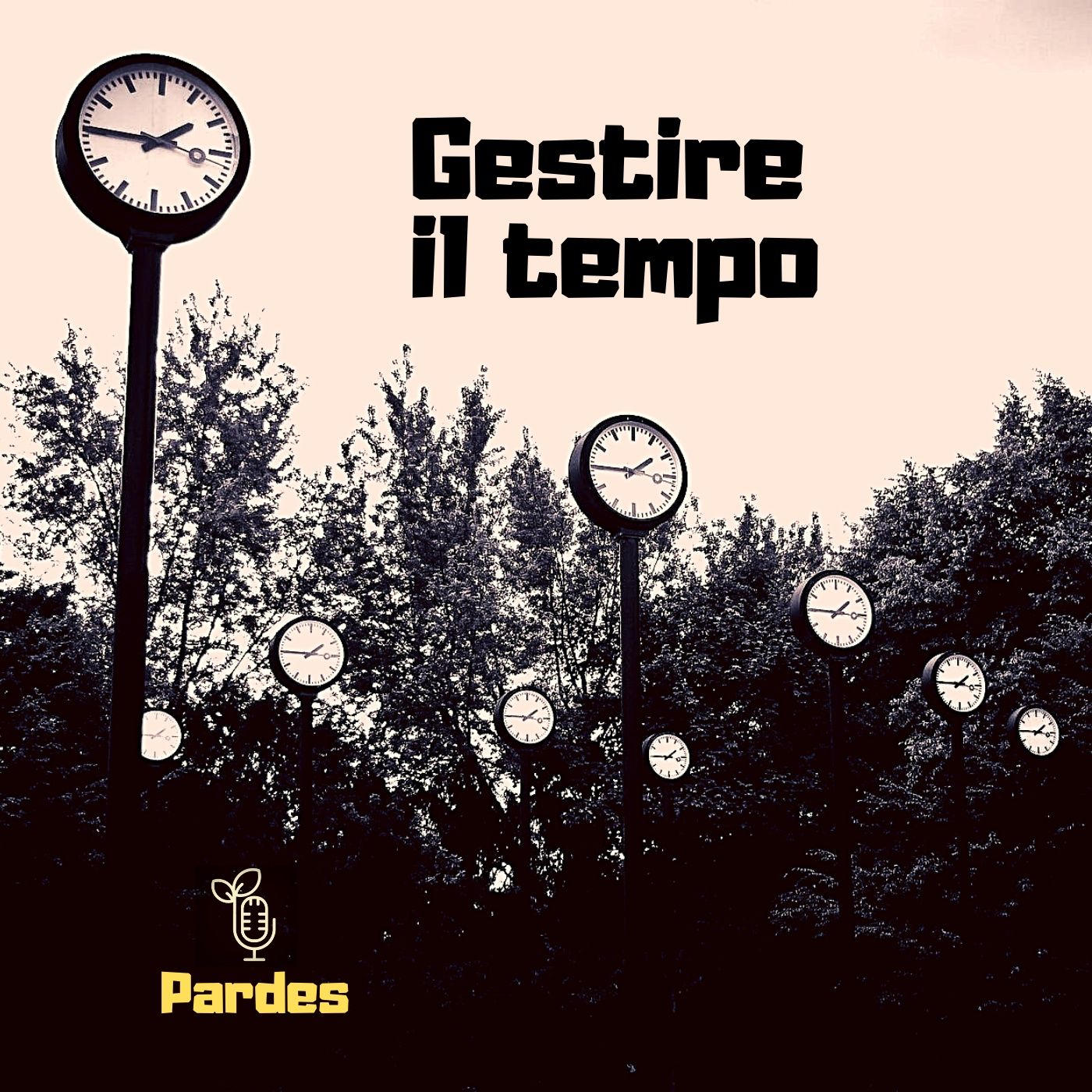 PARDES coltiviamo il futuro con curiosità