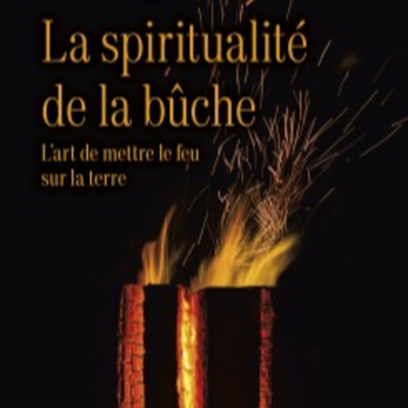 La spiritualité de la bûche par Jean-Thomas de BEAUREGARD