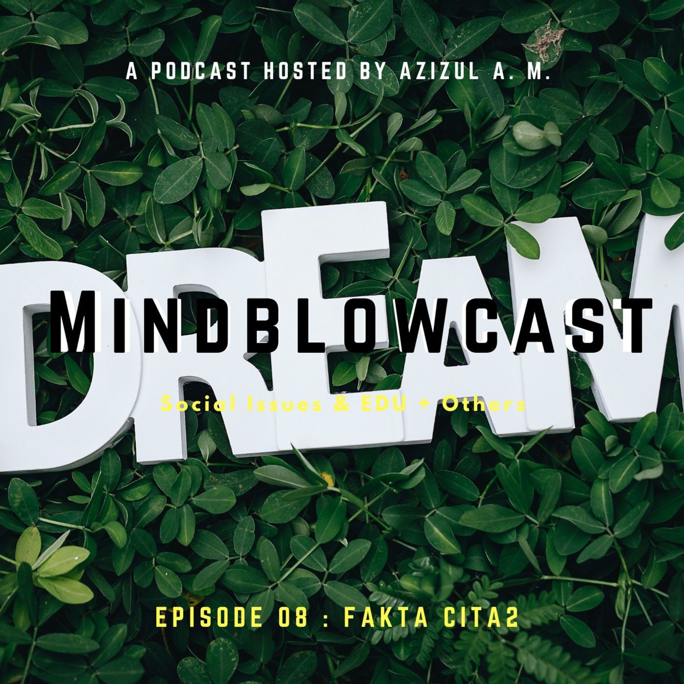 MindBlowCast