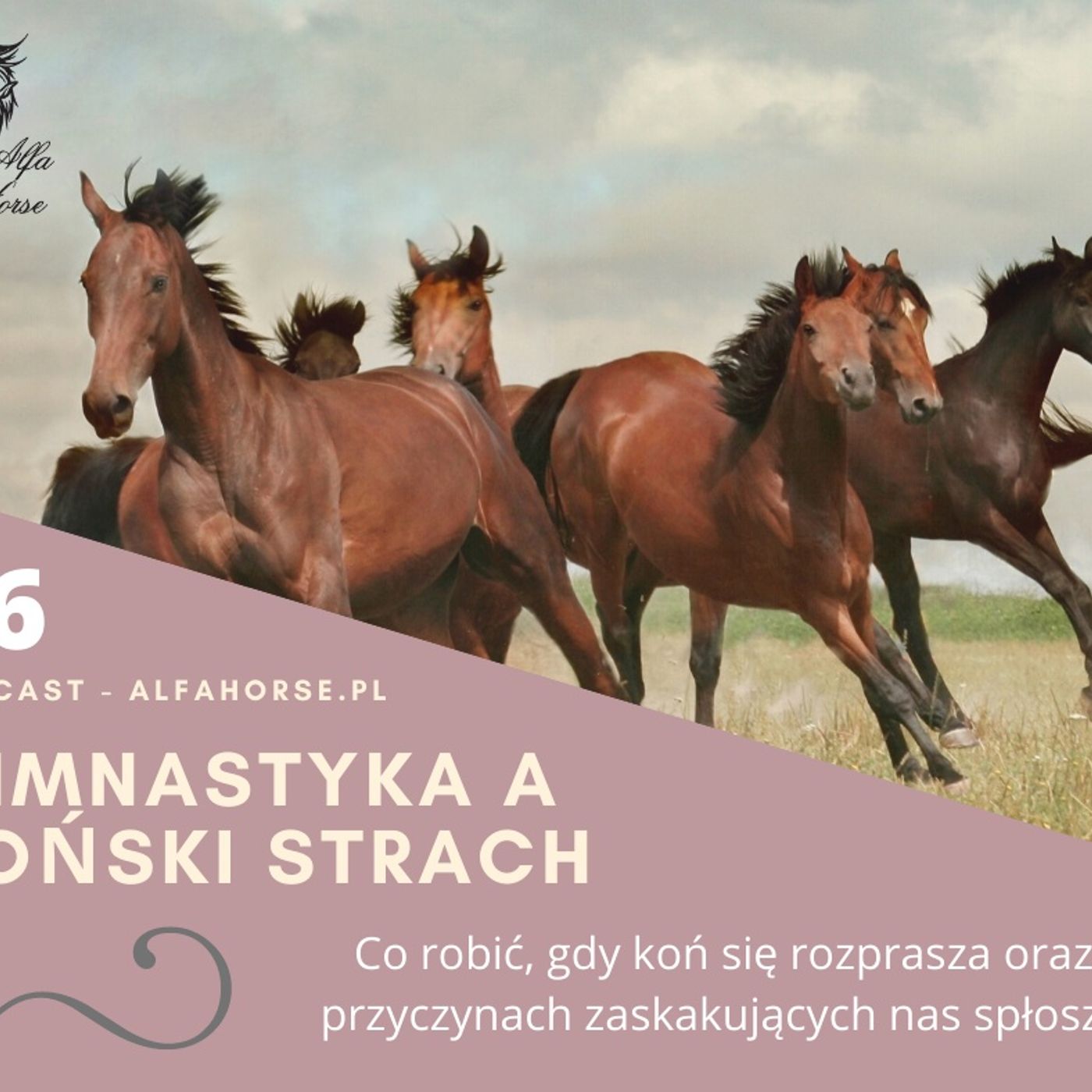 Podcast 16: Gimnastyka a koński strach episode artwork