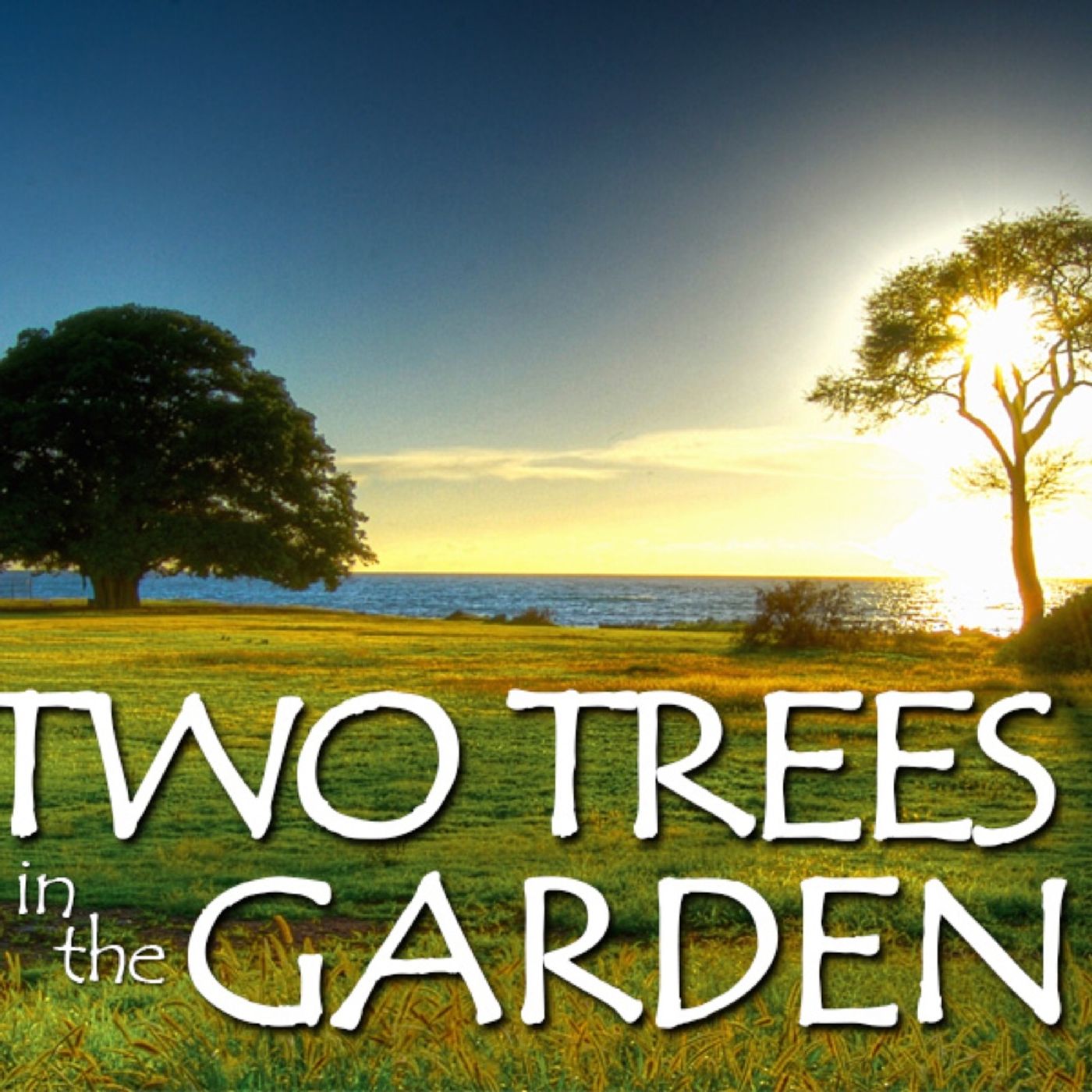 Two Trees In The Garden