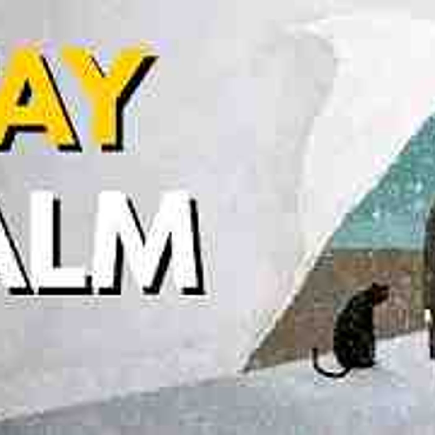 Give Me 14 Minutes and You_ll Stay Calm Even When You_re Stressed(MP3_160K) episode artwork