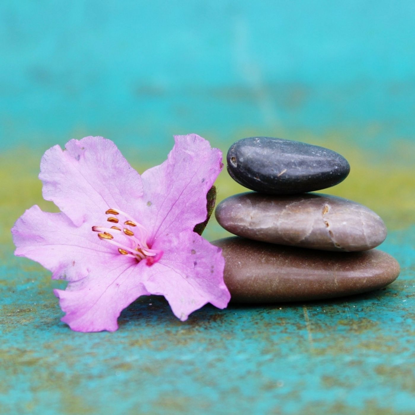 Ep.1 - La actitud en la vida y en los negocios