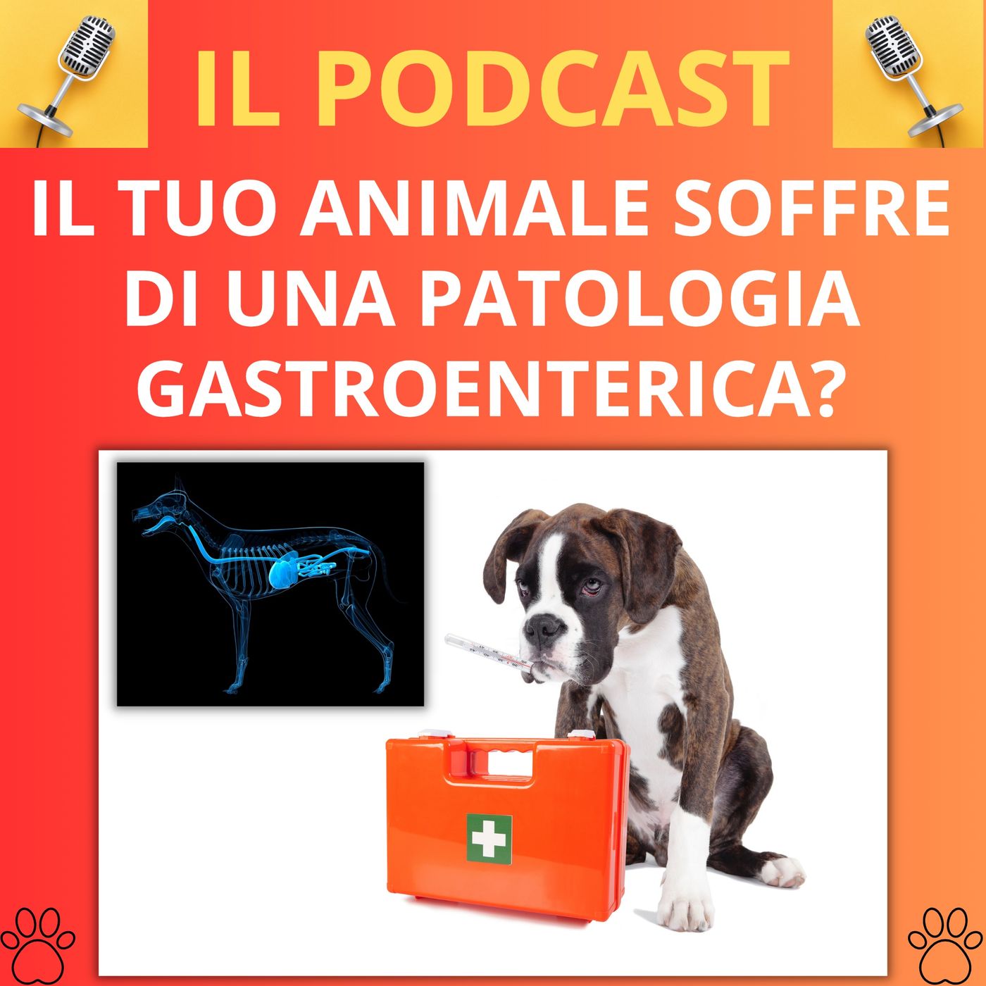 Cane&gatto: le domande più frequenti