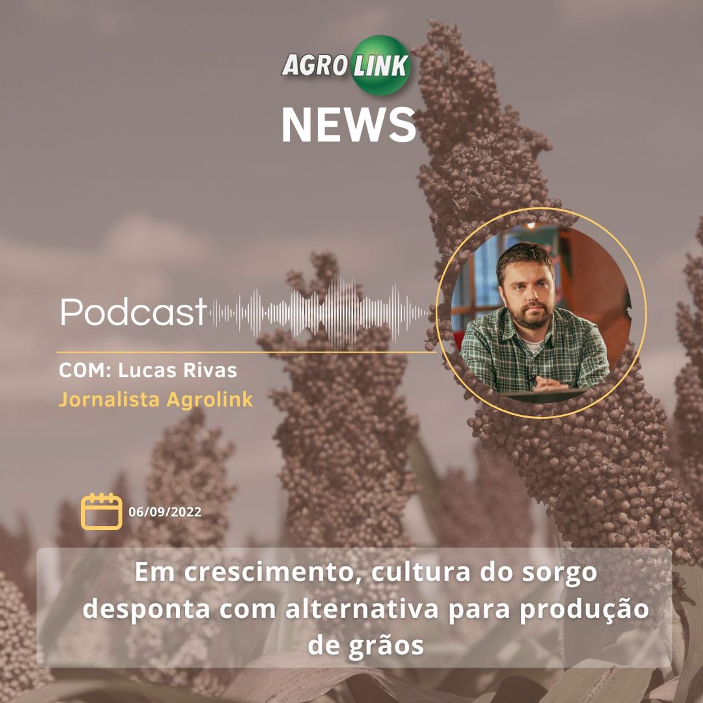 Exportações de carne de frango crescem 15,3% em agosto episode artwork