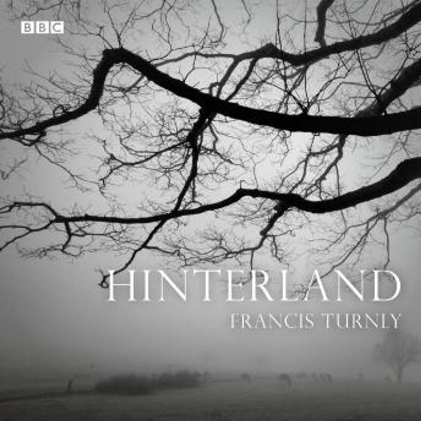 Hinterland: A BBC Radio 4 dramatisation by Francis Turnly episode artwork
