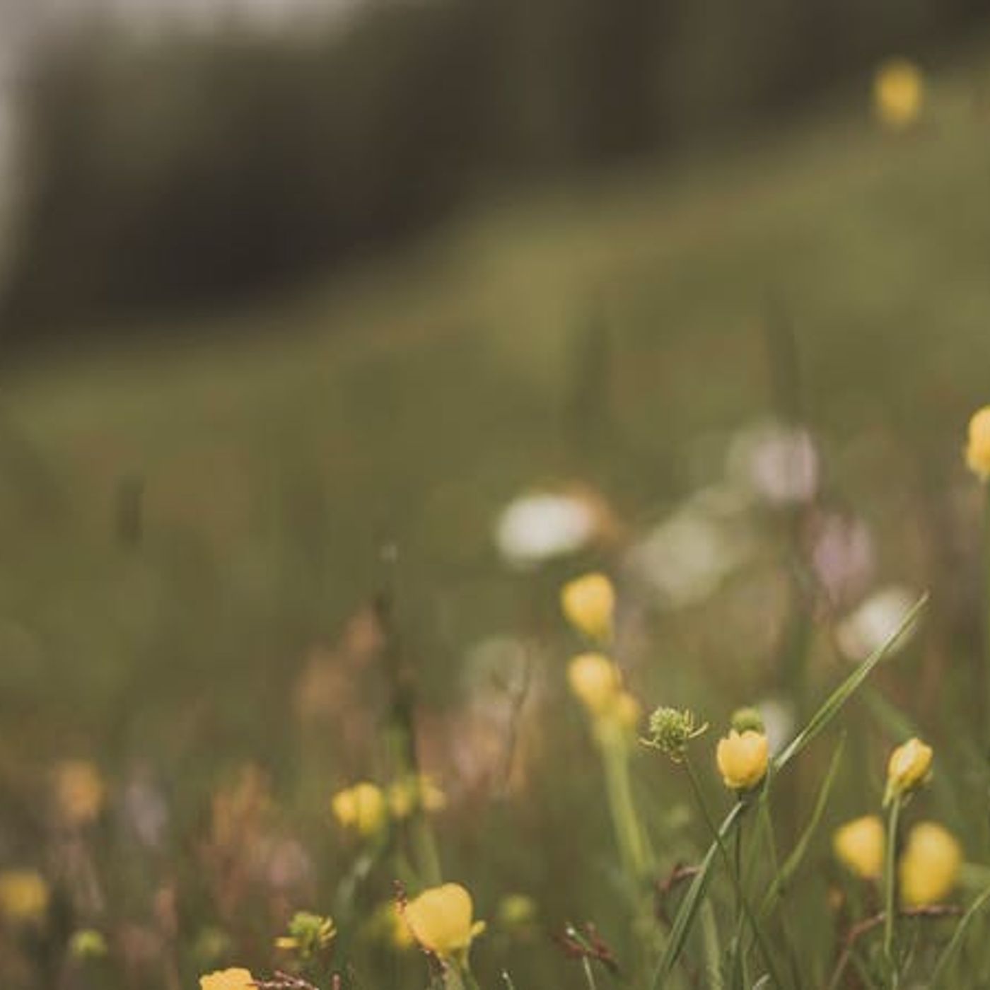 How Does God’s Joy Become My Joy?