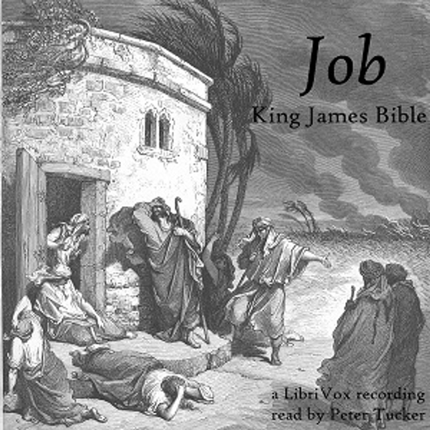King James Bible - Job (version 2) cover art