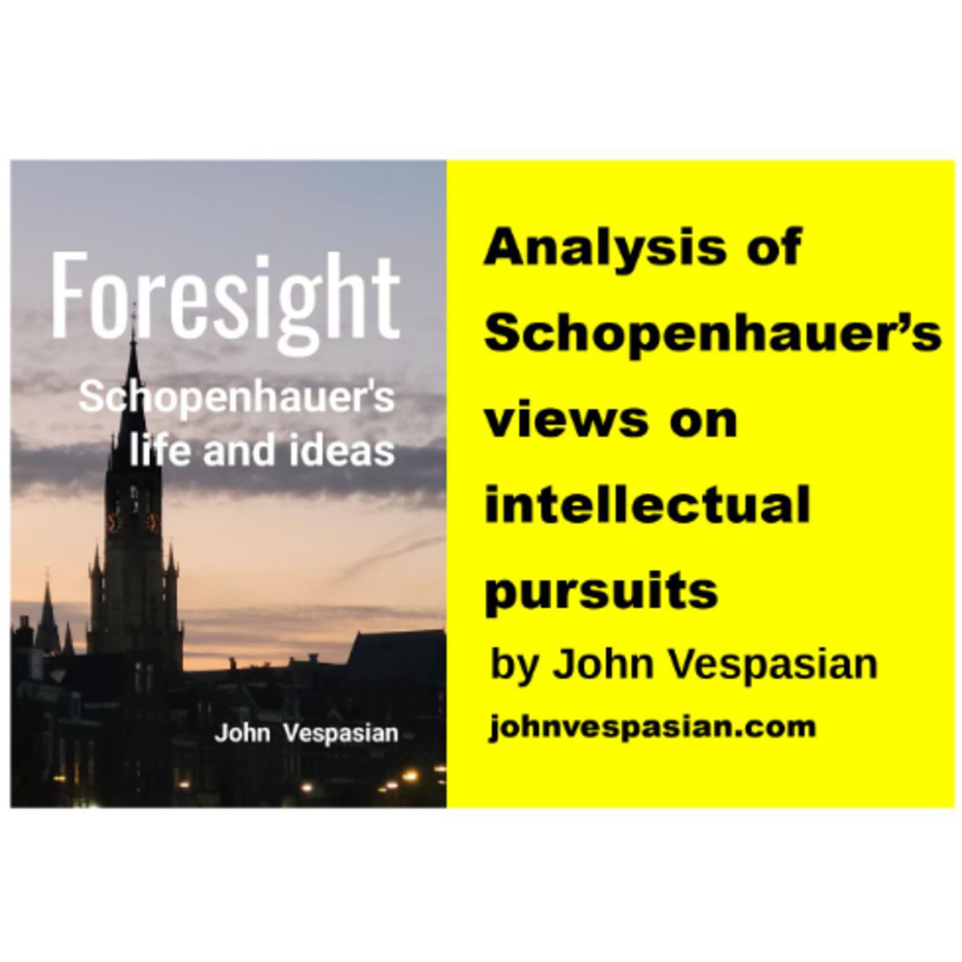 Analysis of Schopenhauer’s views on intellectual pursuits episode artwork