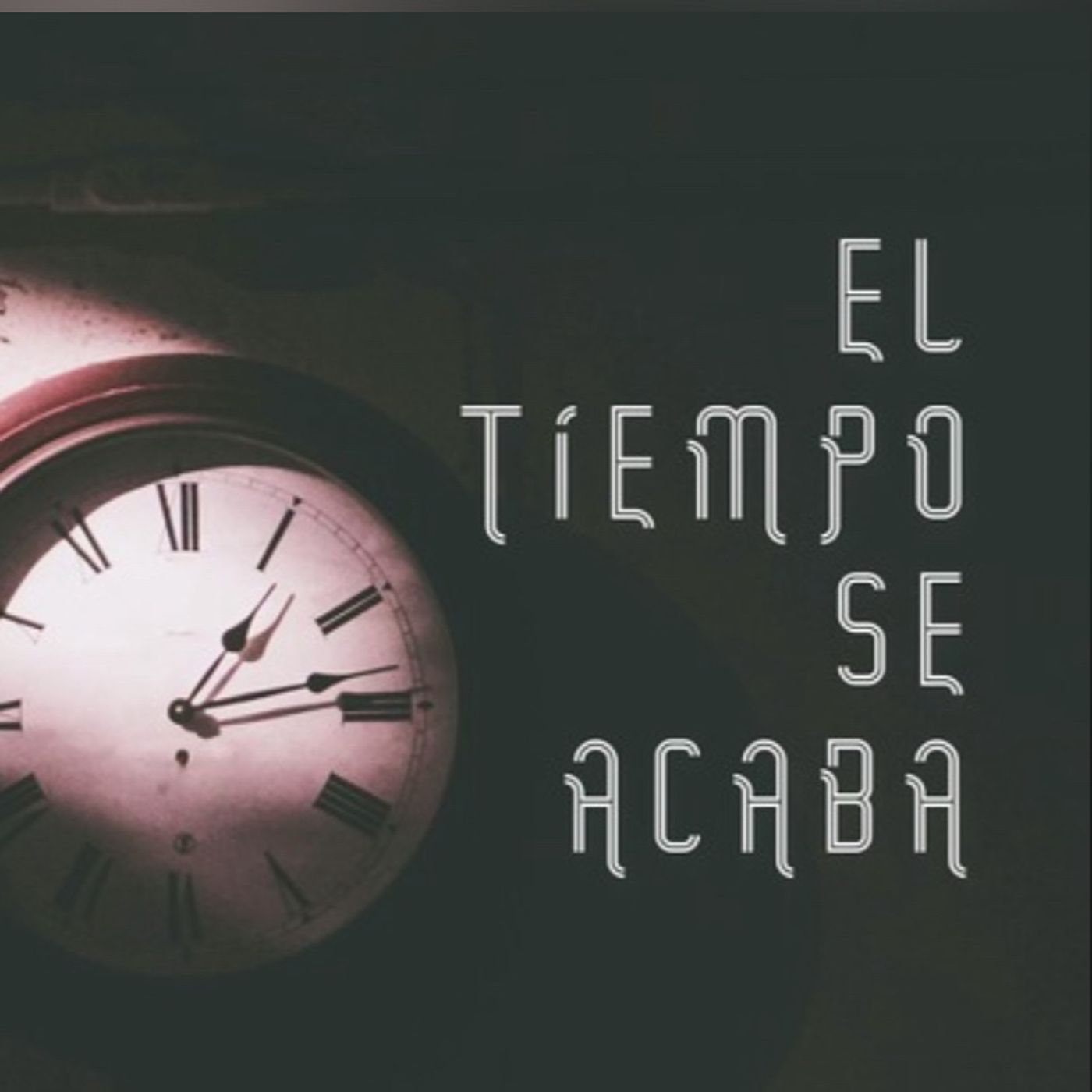 Su delicia