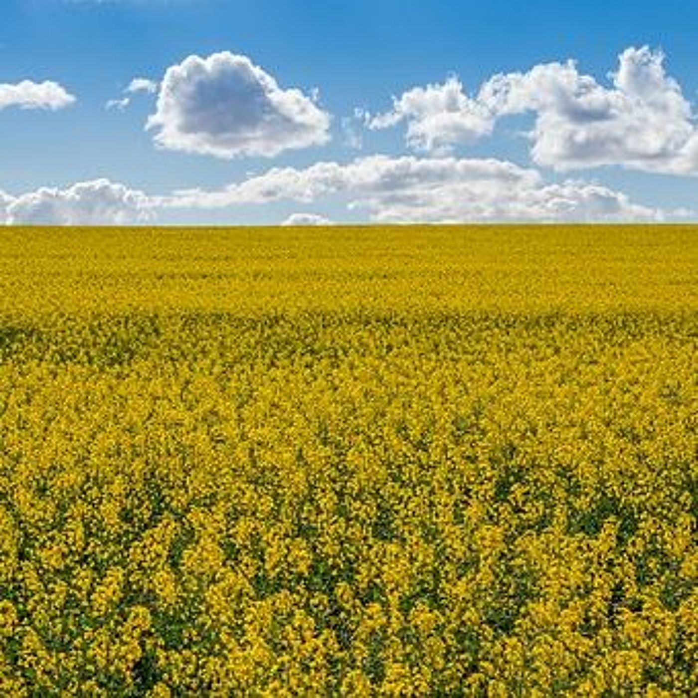 Advisory committee on Federal Government's Sustainable Agriculture Strategy struck episode artwork