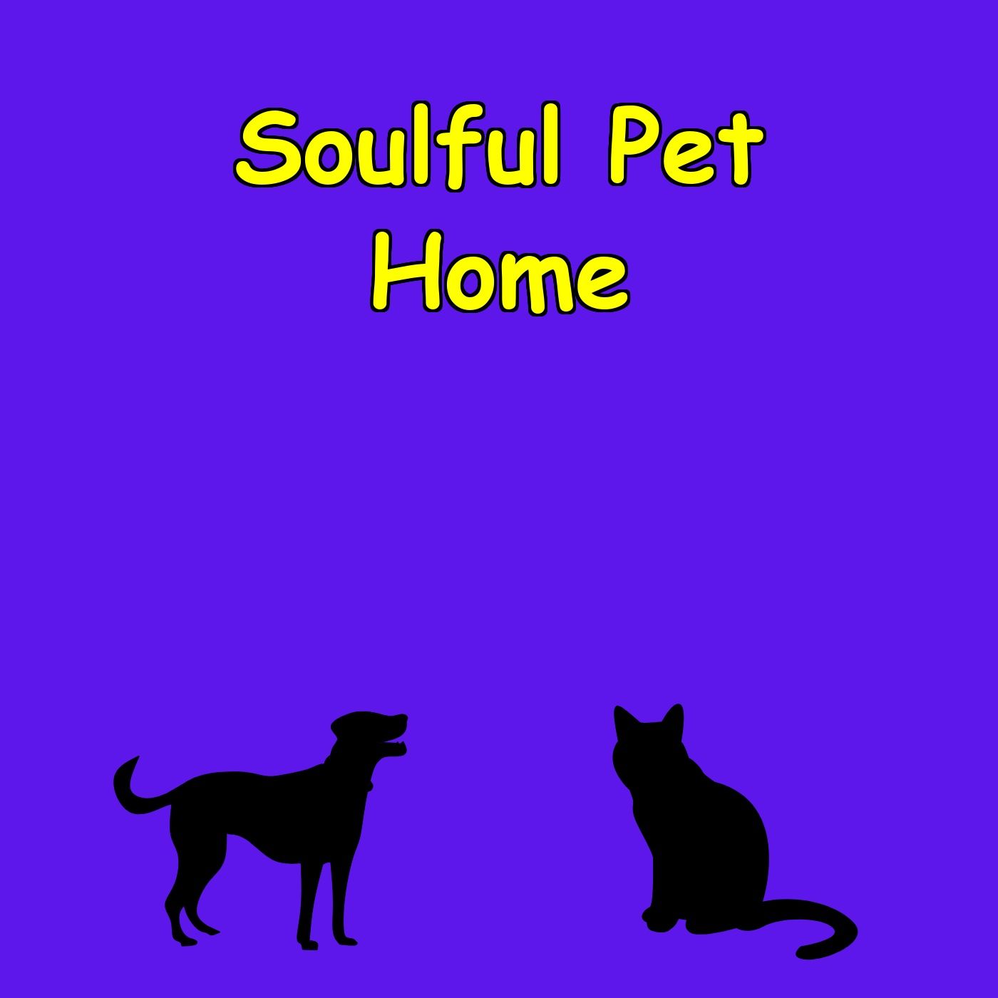 Soulful Pet Ownership | Daily Affirmations for Heart & Home,