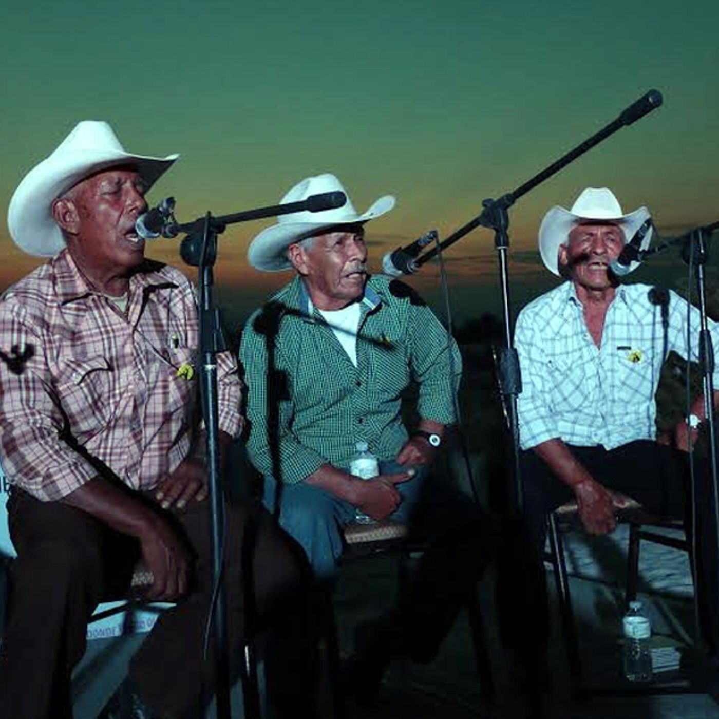 Ventana al Sonido