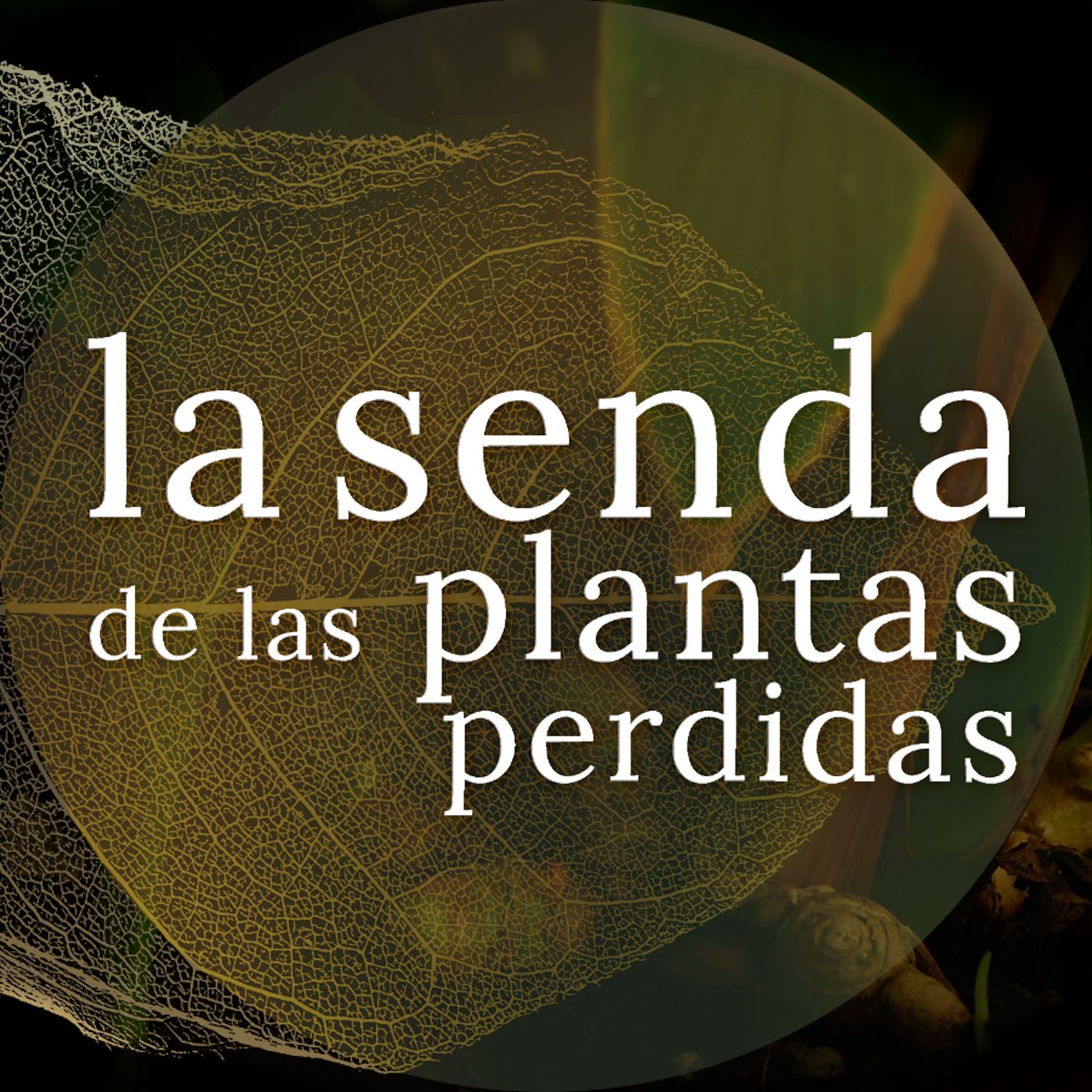 La Senda de las Plantas Perdidas