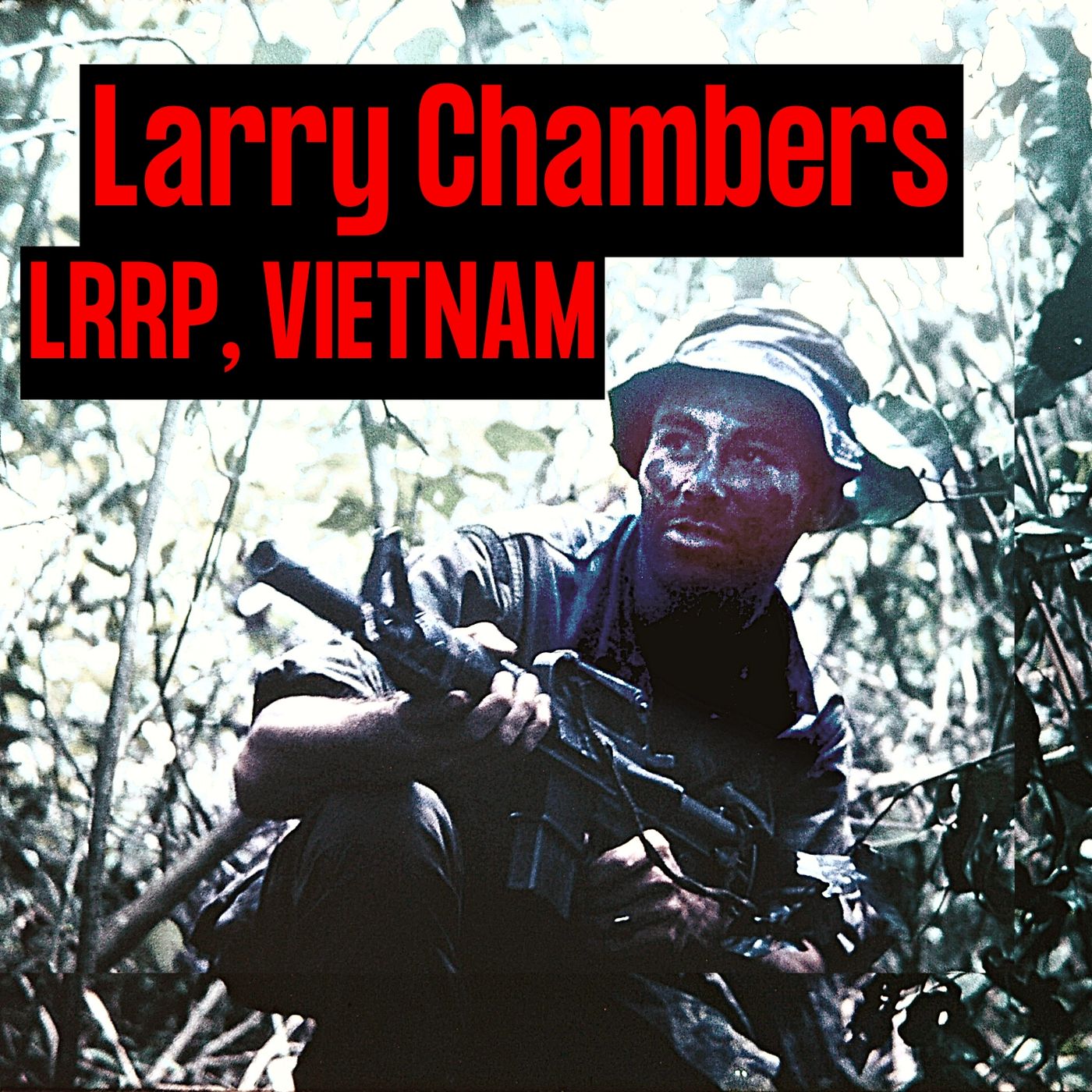 Long Range Recon Patrol (LRRP) in Vietnam | Larry Chambers (throwback ep)