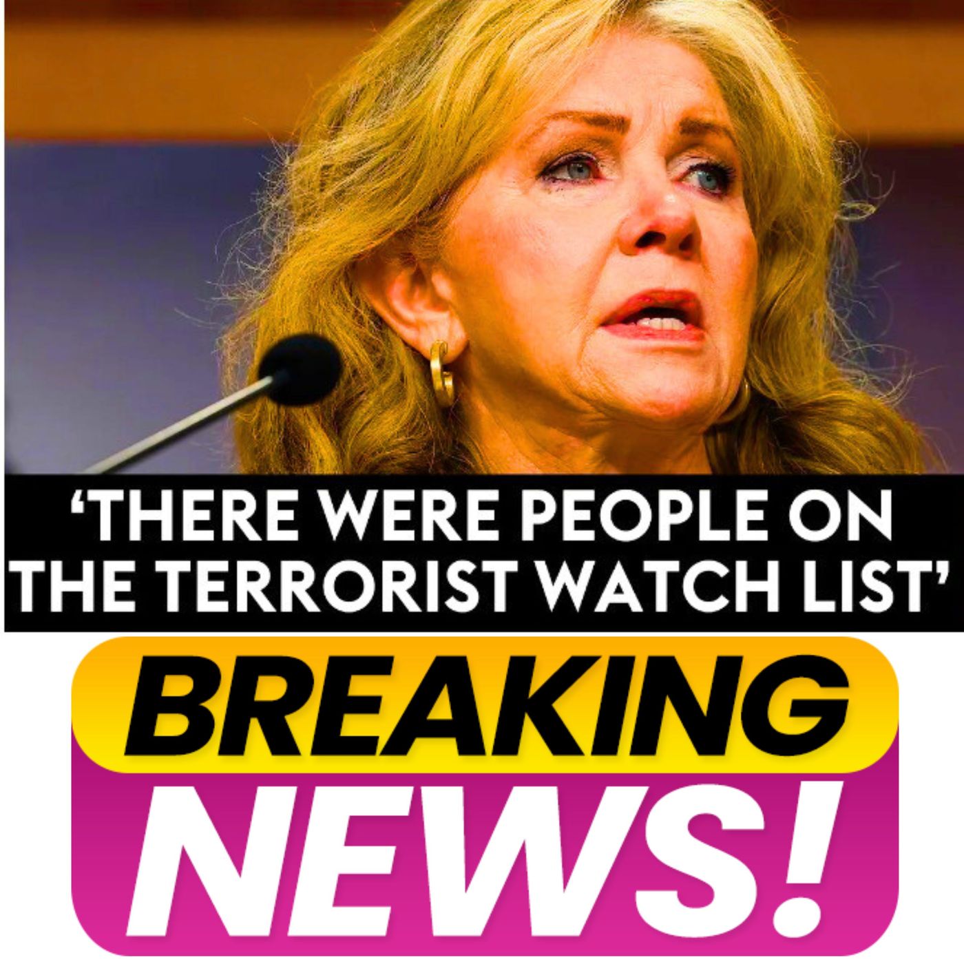 Marsha Blackburn Reveals 'Frightening' Statistics Of 'Terrorists' Crossing Southern Border