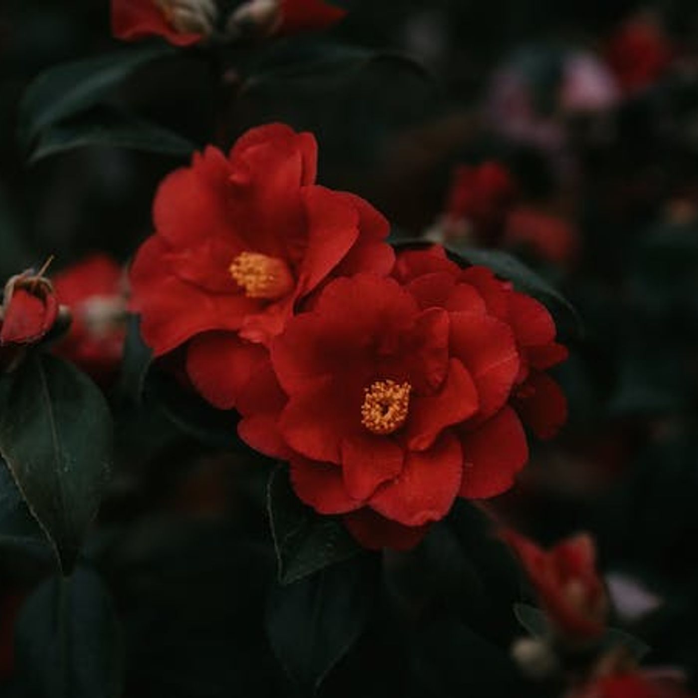 Does the Bible Say I Am Unique?