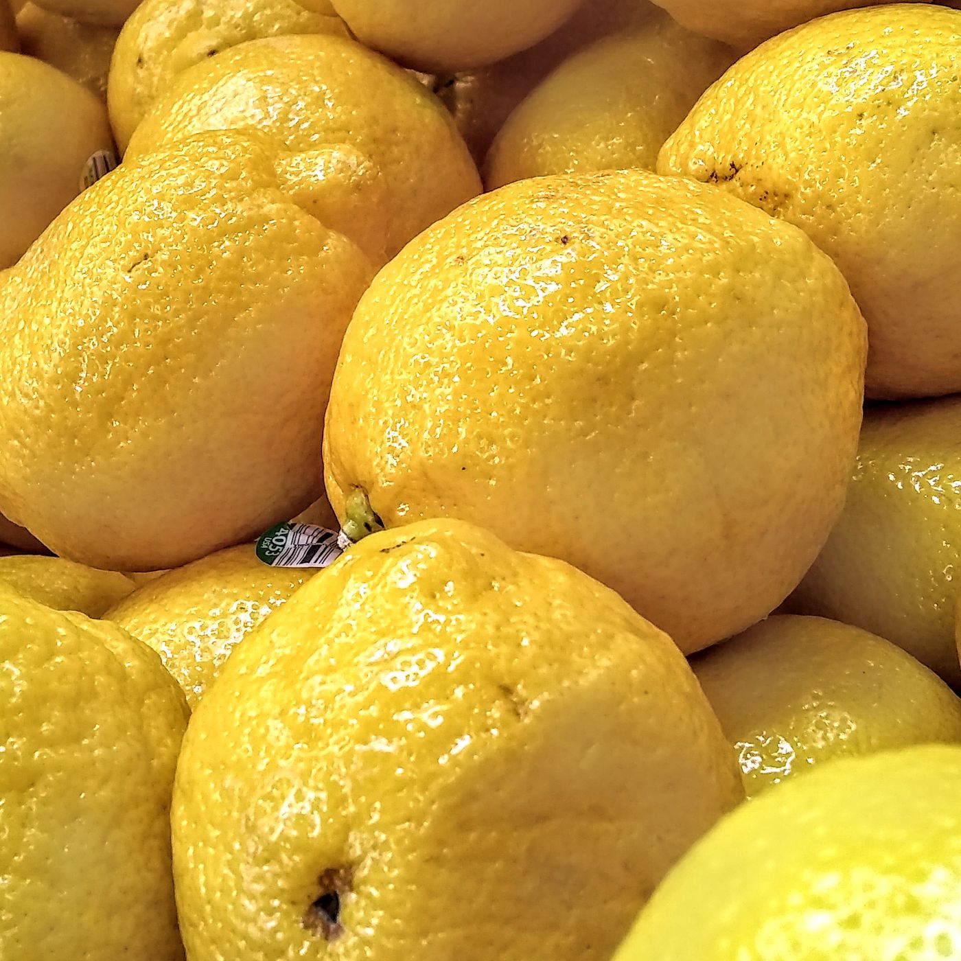 "Saving Spring" - The Lemonade Art Fair