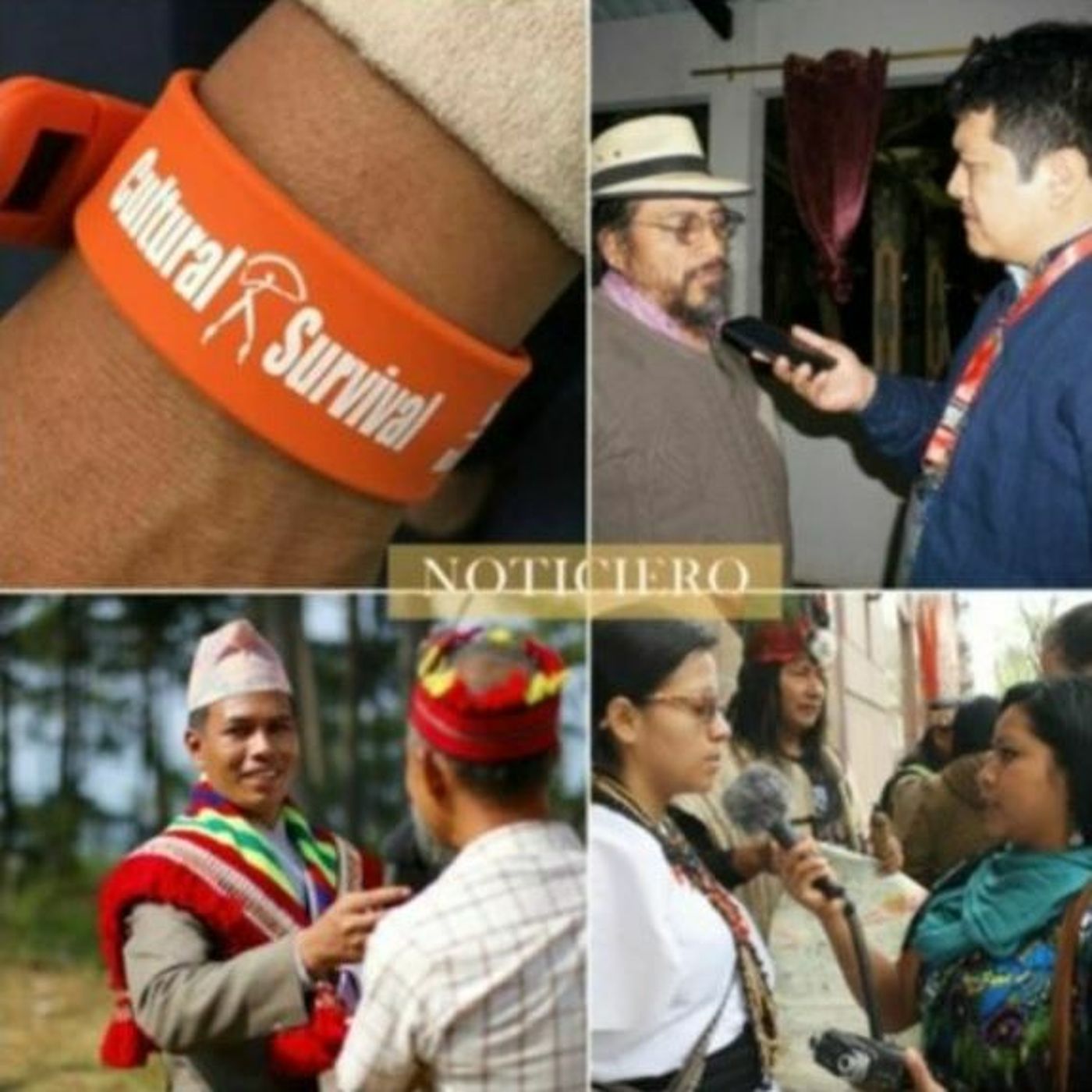 Cultural Survival Global News Bulletin January 2024