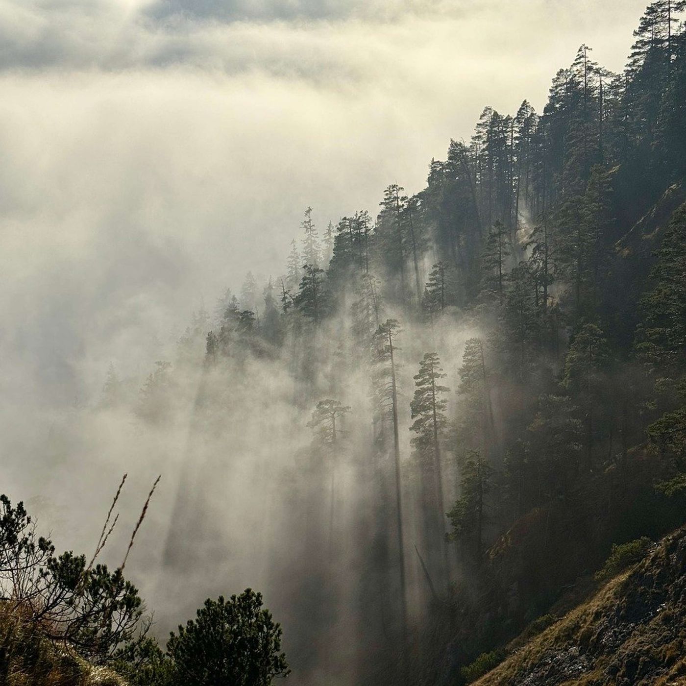 Nature and Science 4 Kids