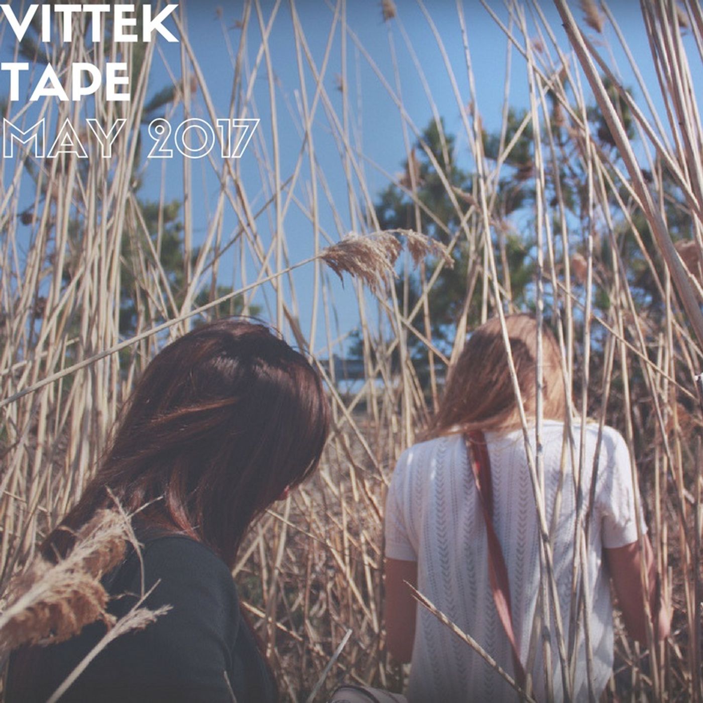 Vittek MixTape May 2017