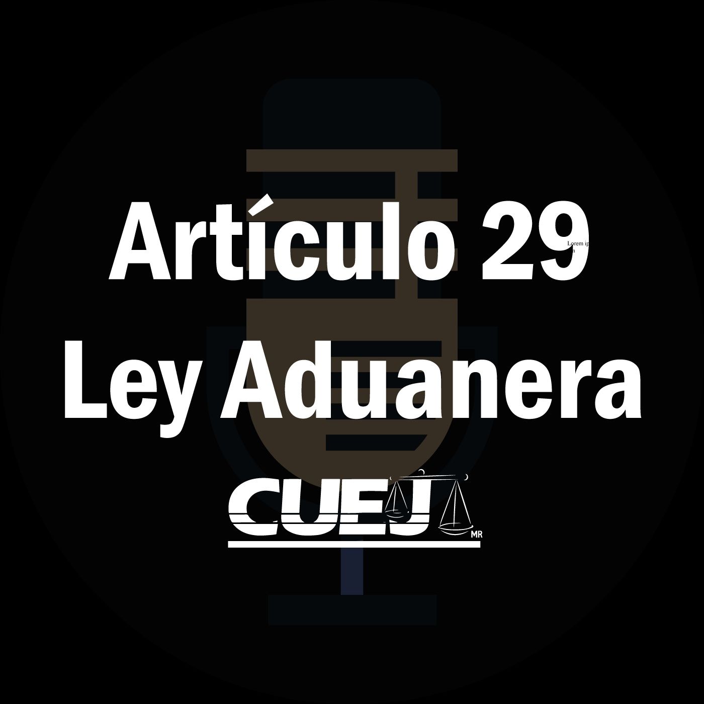 Audio Ley Aduanera