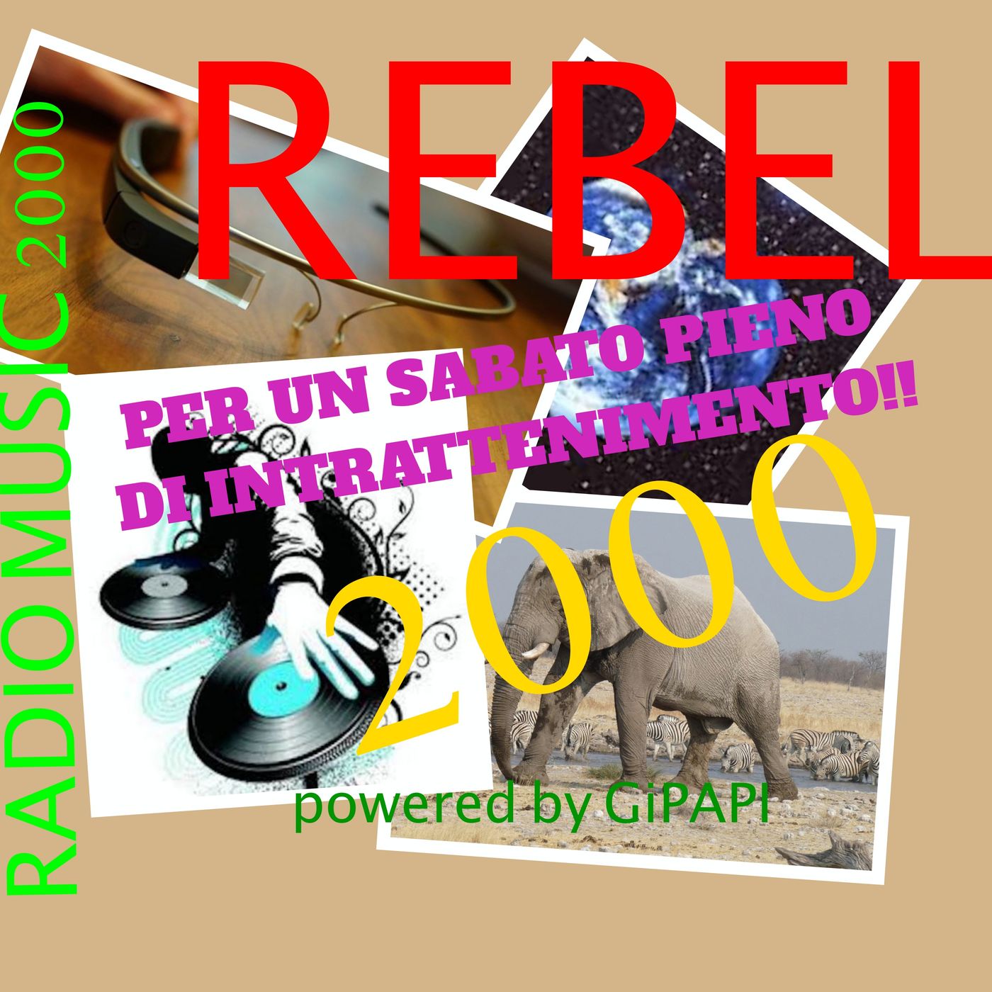 Rebel 2000- animali, cinema e altro!