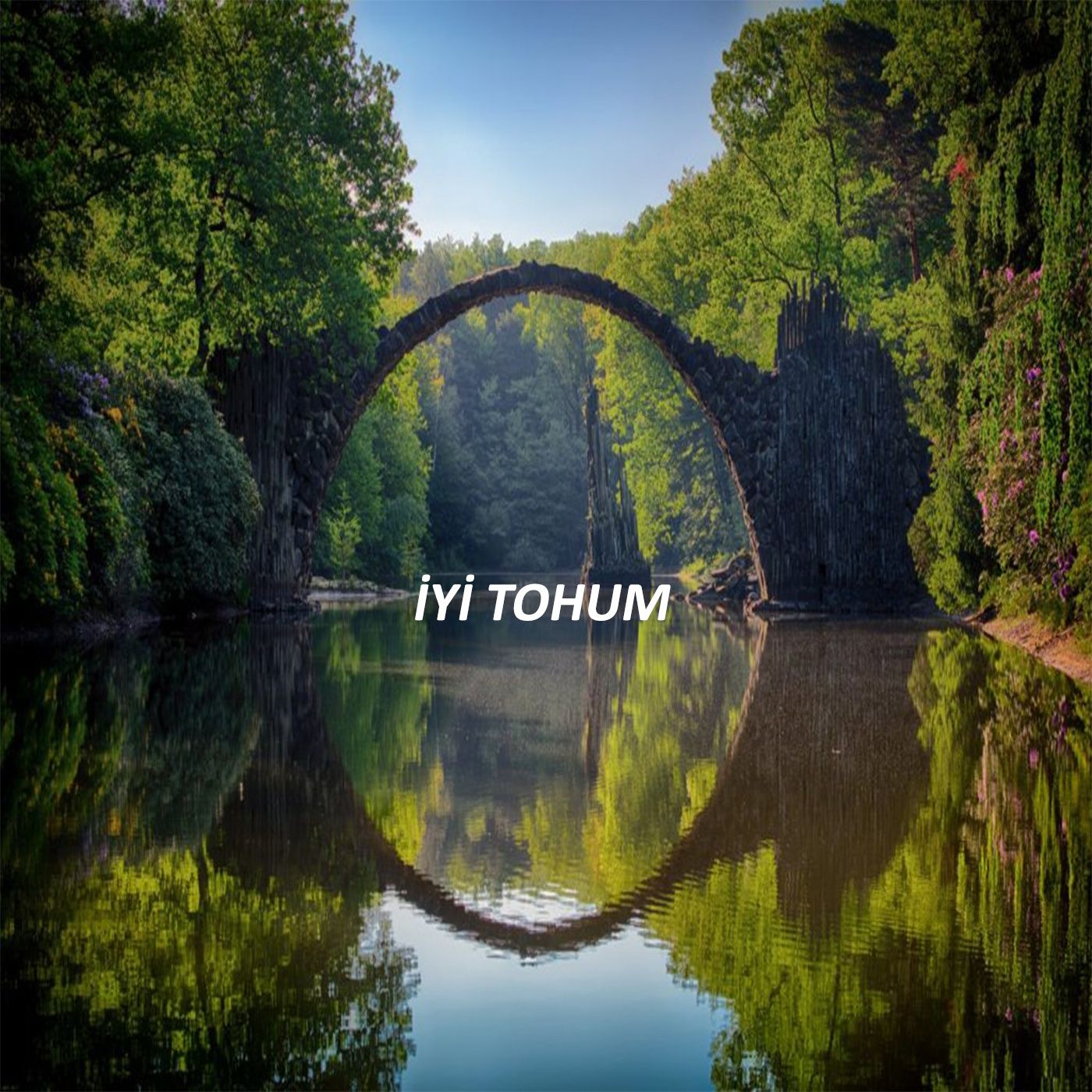 İyi Tohum