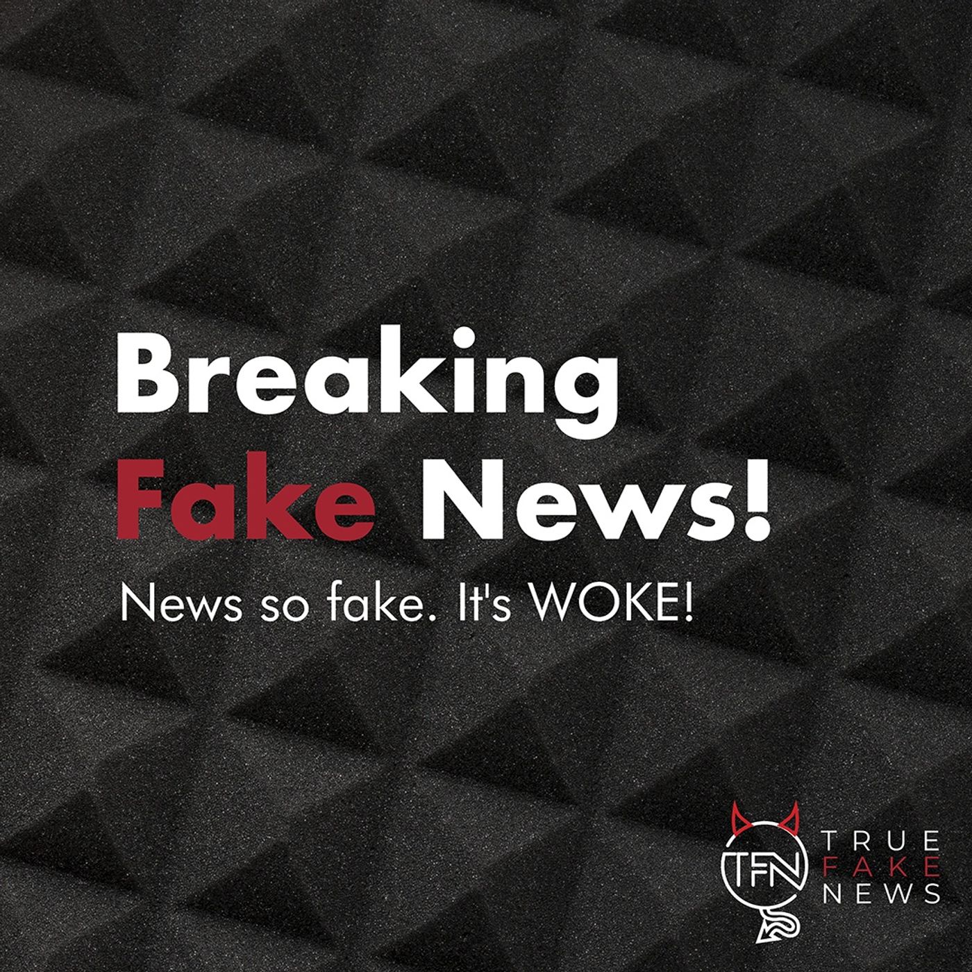 Breaking Fake News