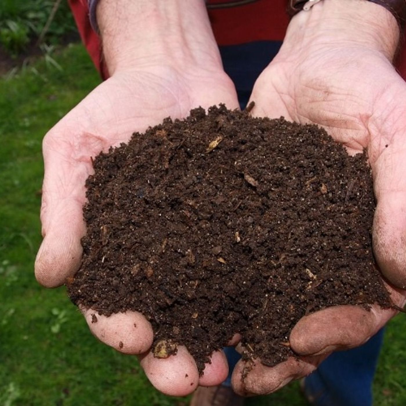 La Jardinería para Principiantes