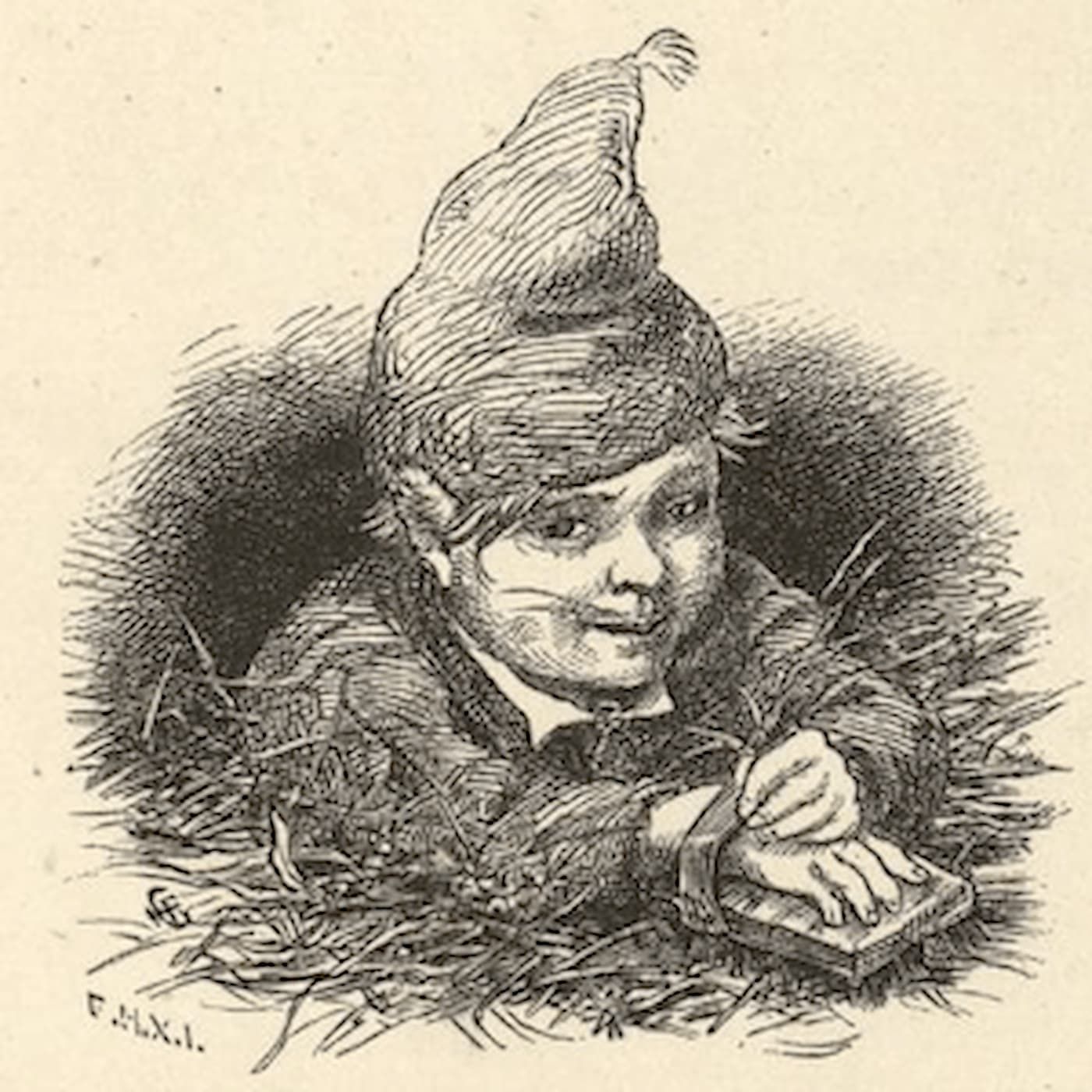 The Gnomes episode artwork