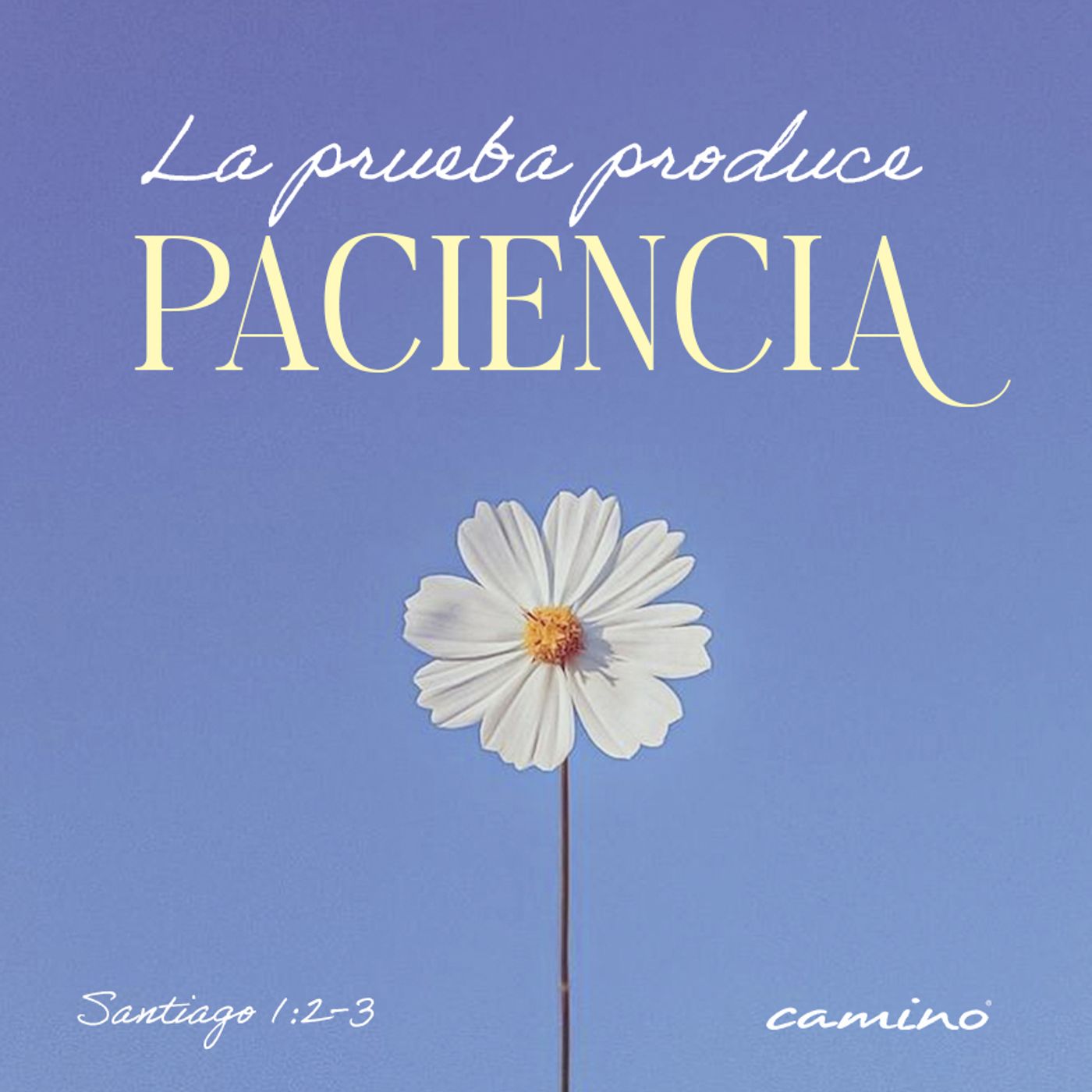 Oración 23 de marzo (La prueba produce paciencia) episode artwork