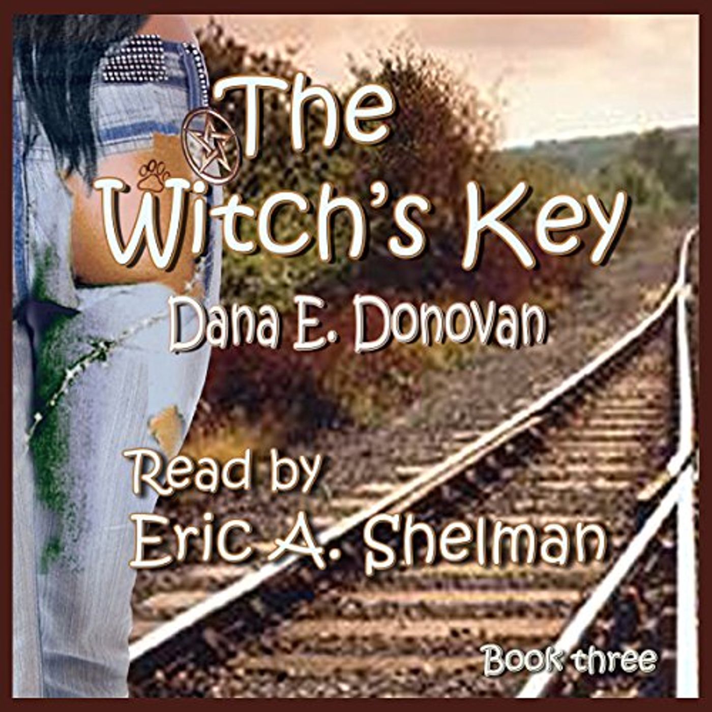 The Witch's Key Audiobook by Dana E. Donovan episode artwork