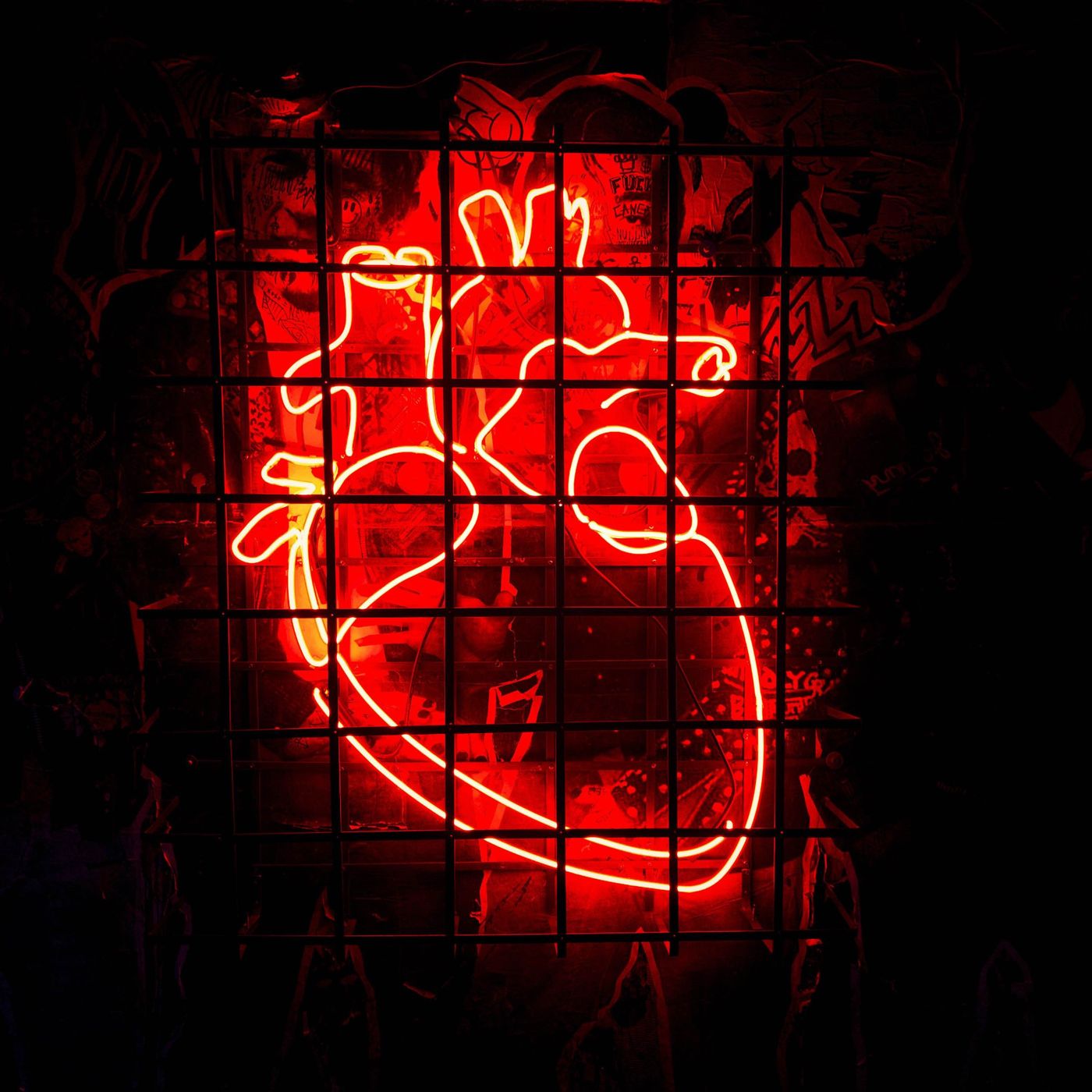 Heart Rate Variability: A Human User Manual