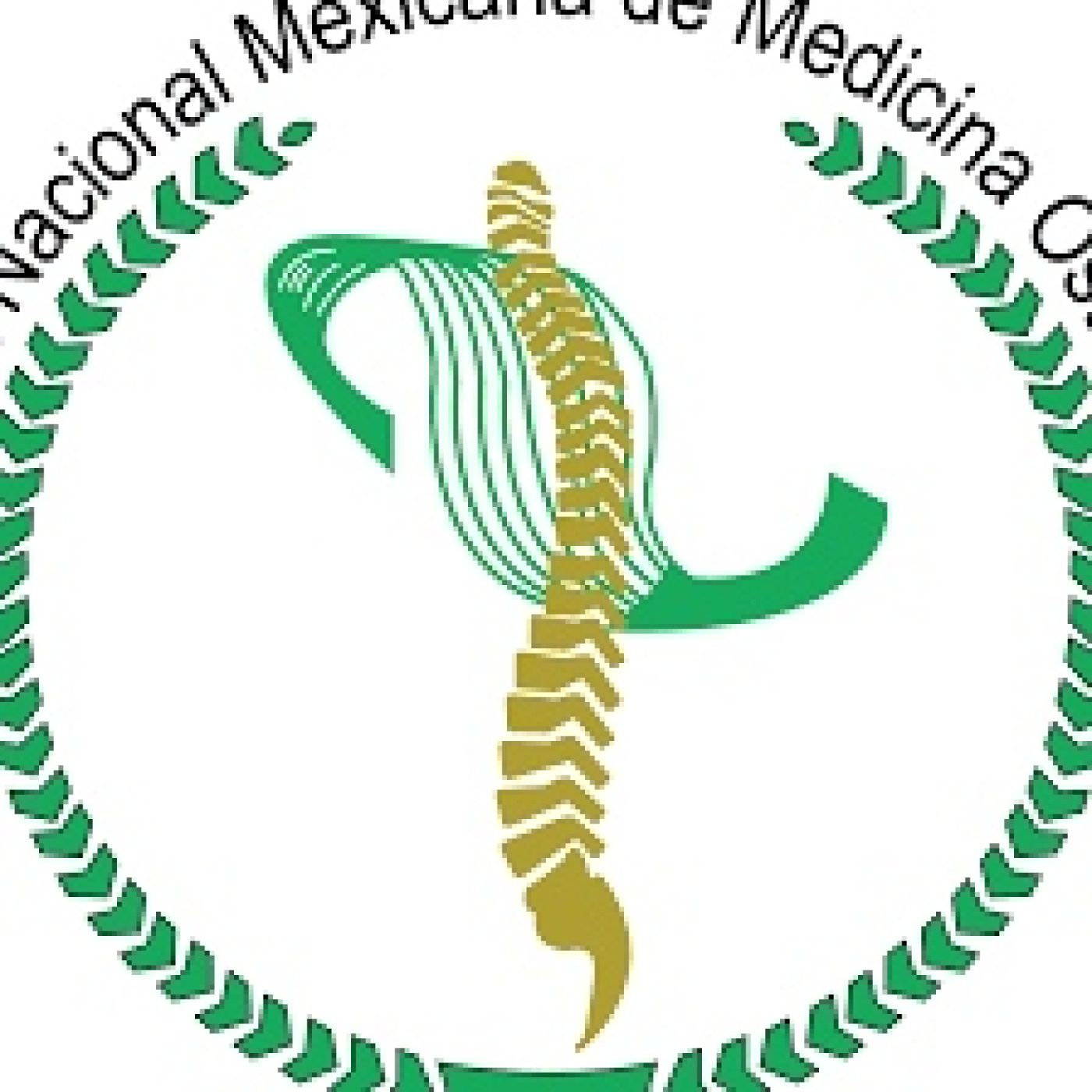 Pensamientos de Osteopatia