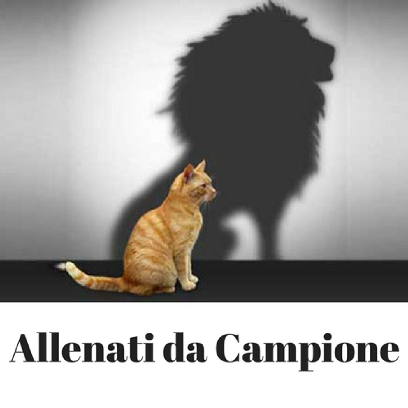 Allenati come se fossi in Gara episode artwork