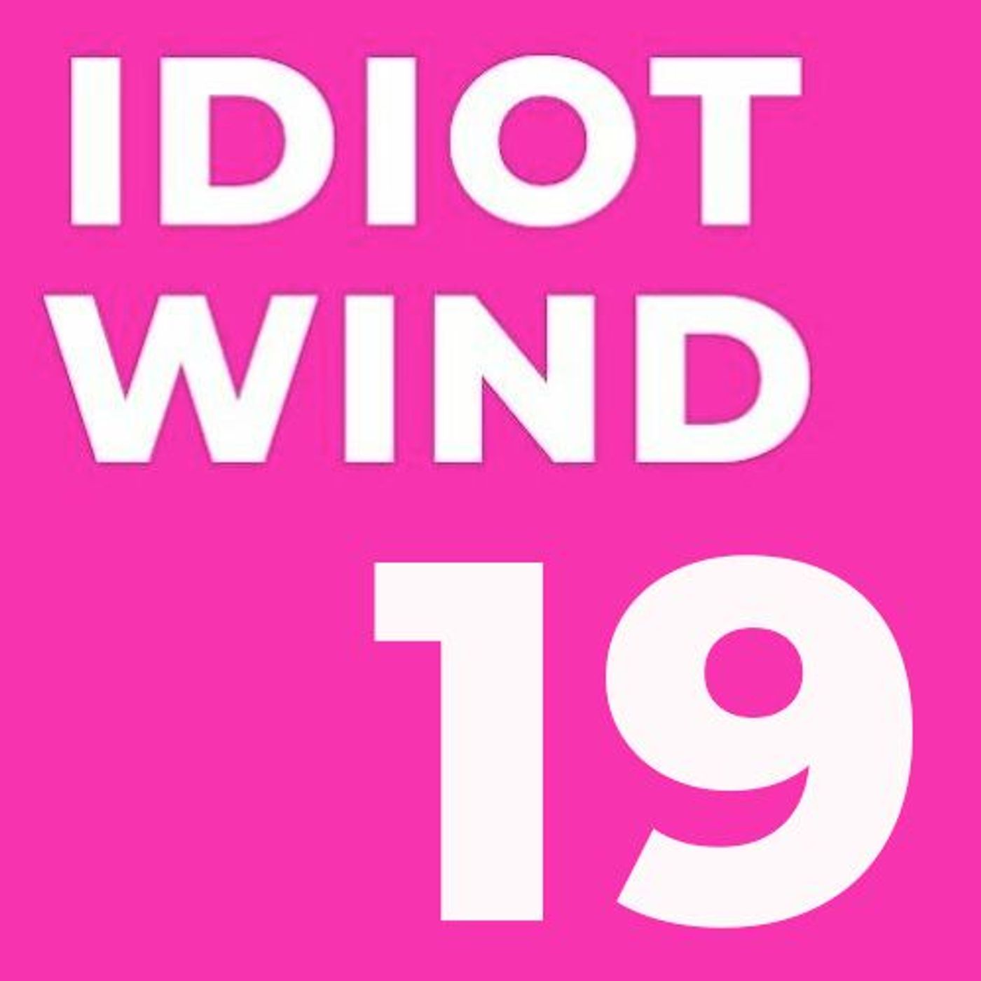 Idiot Wind Panel Show