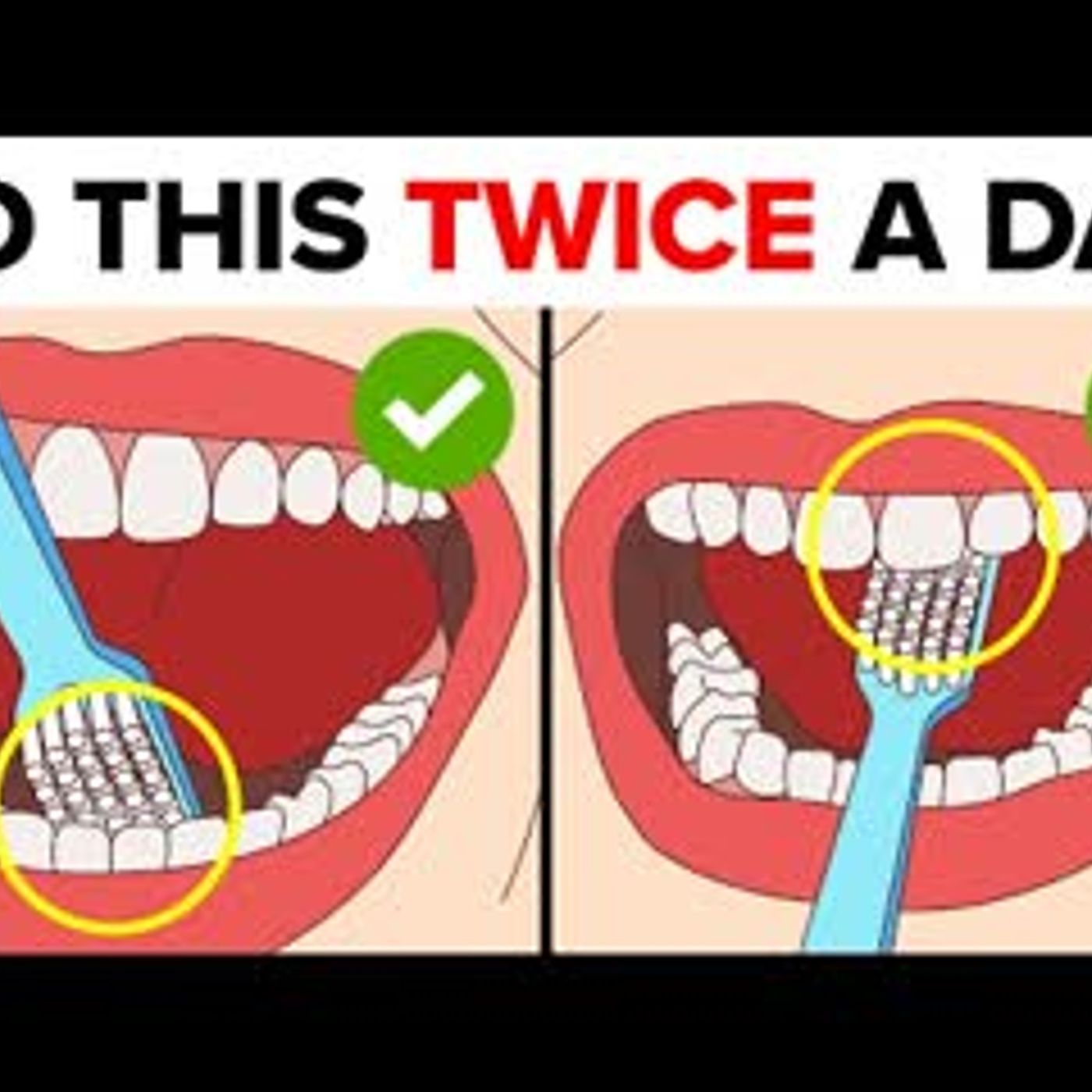 12 Tips To Give You A Healthy Gum & Teeth episode artwork