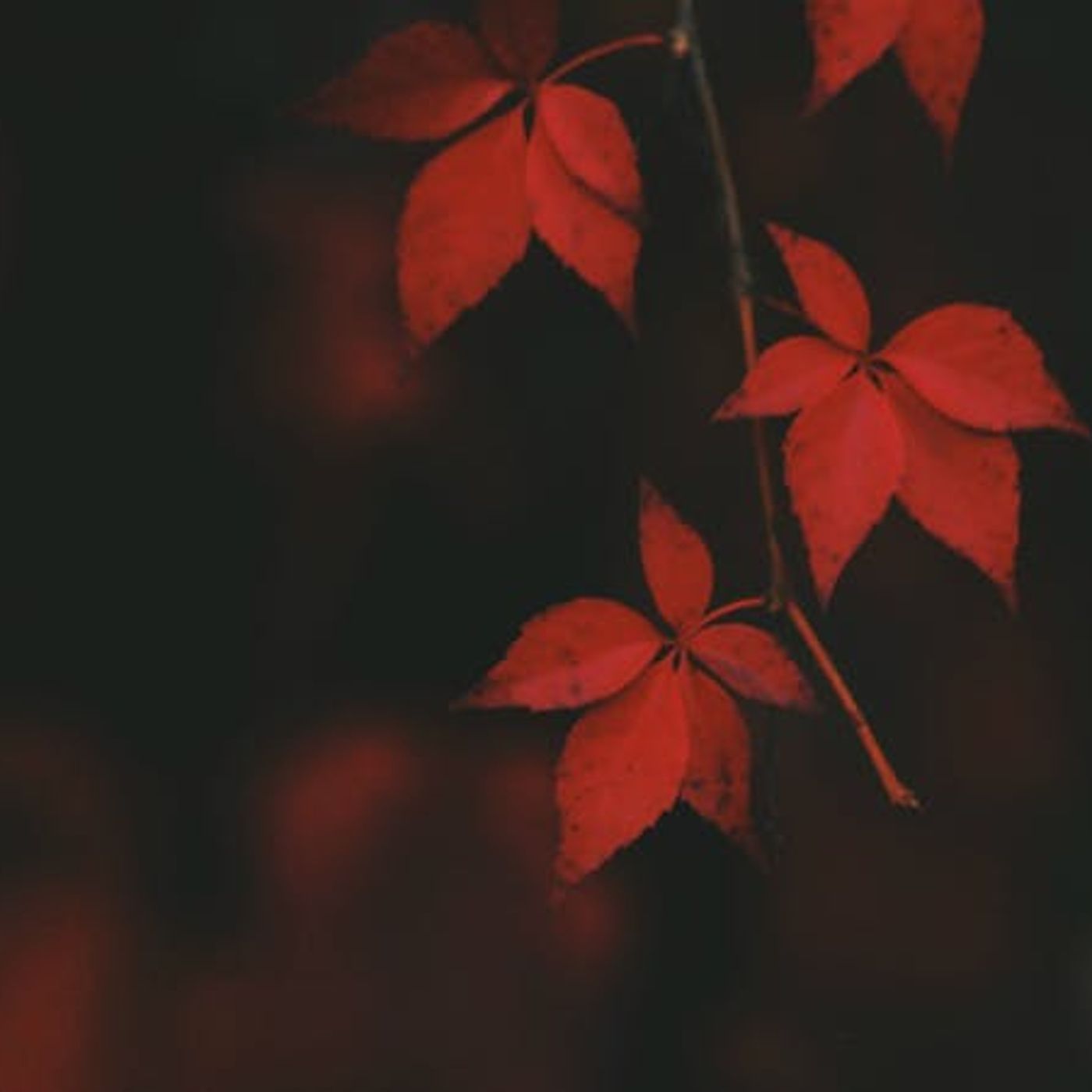 I Will Die Young — How Do I Fight for Hope?