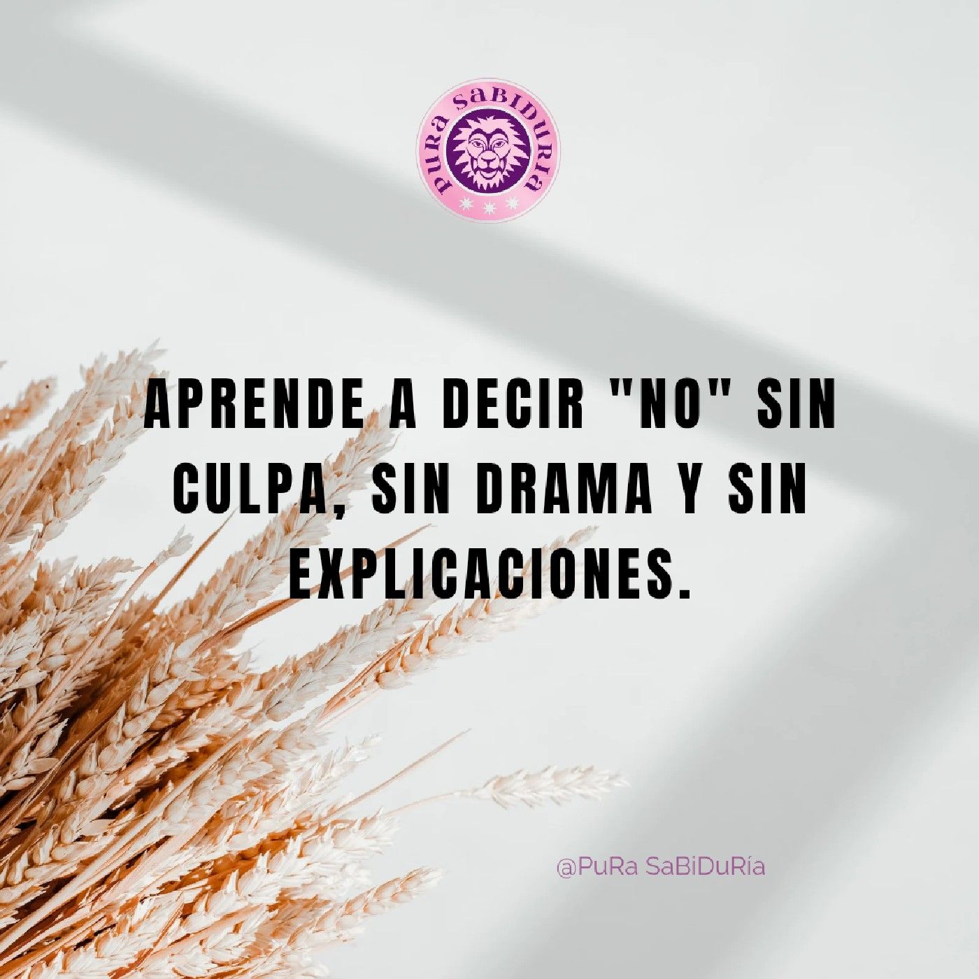 Portada de No estoy Disponible para el Caos