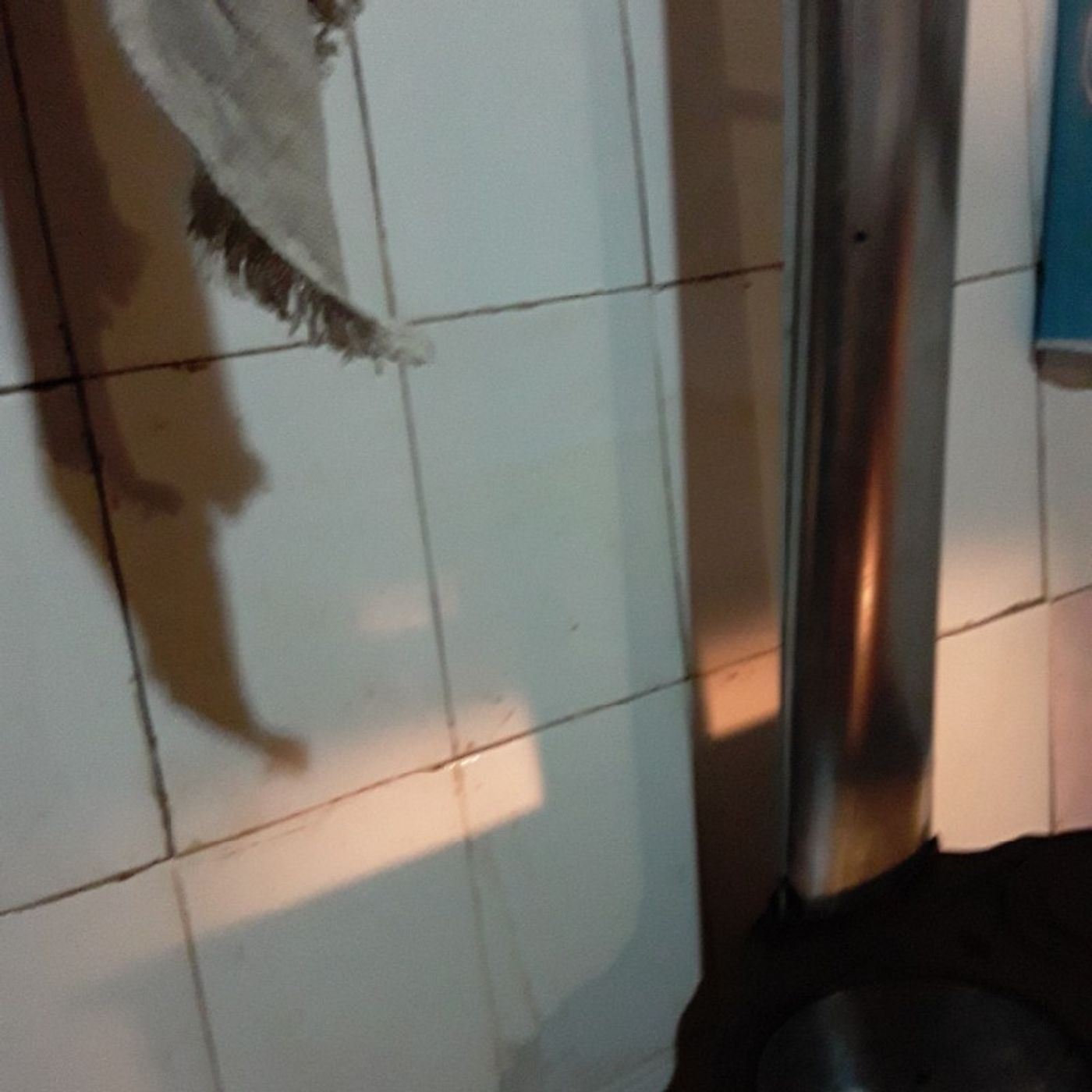 El show de Ricardo Cerna