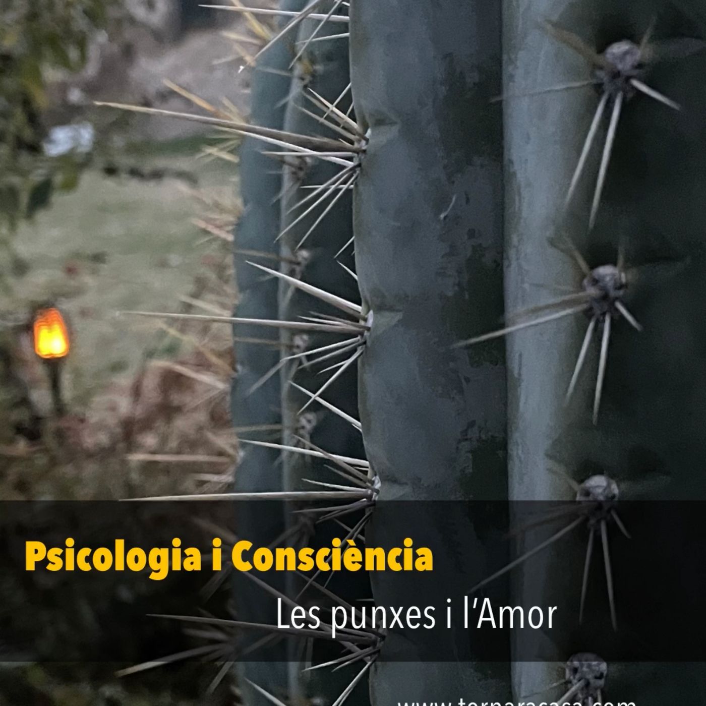 Psicologia i Consciència, “Tornar a Casa”