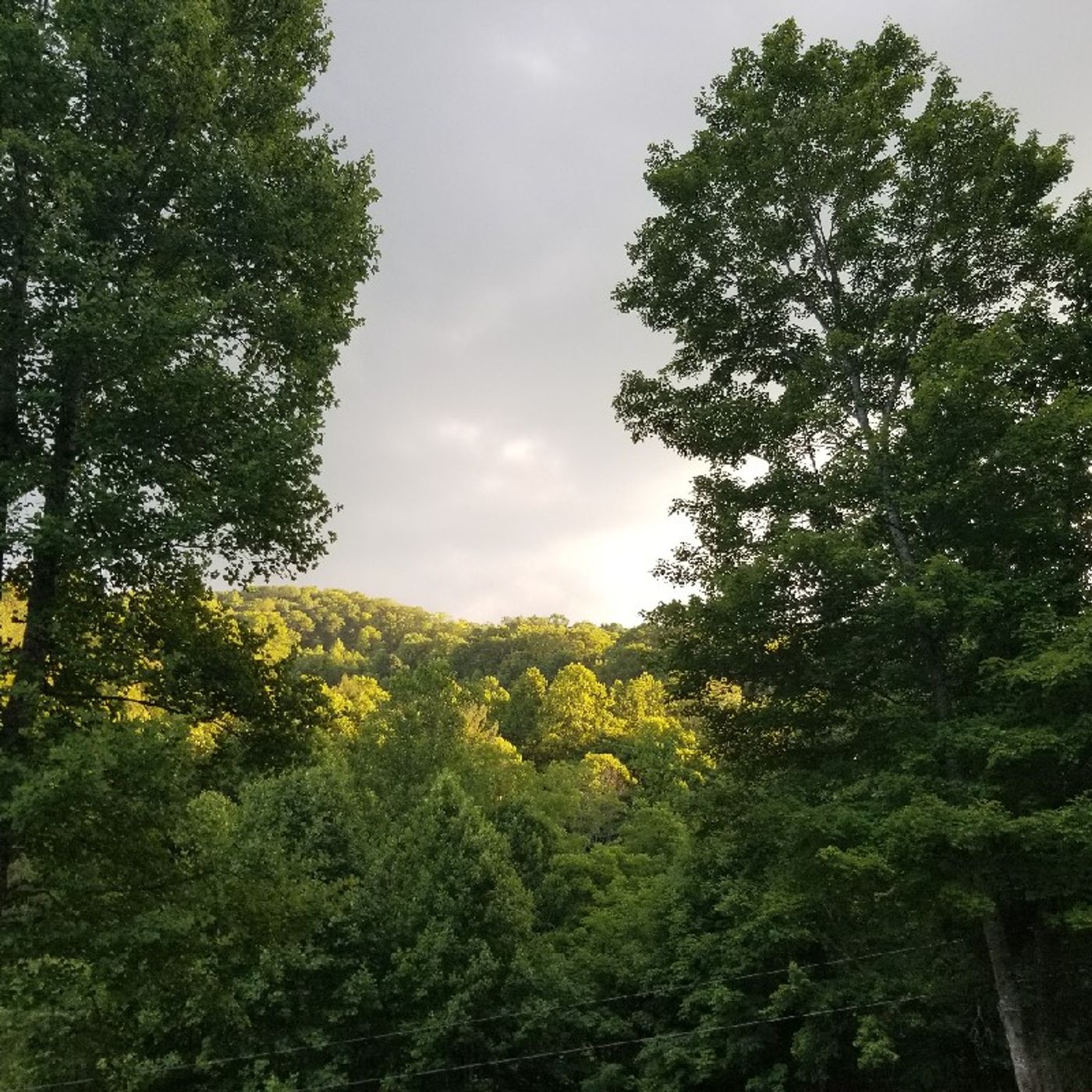Fellowship and Faith Consciousness