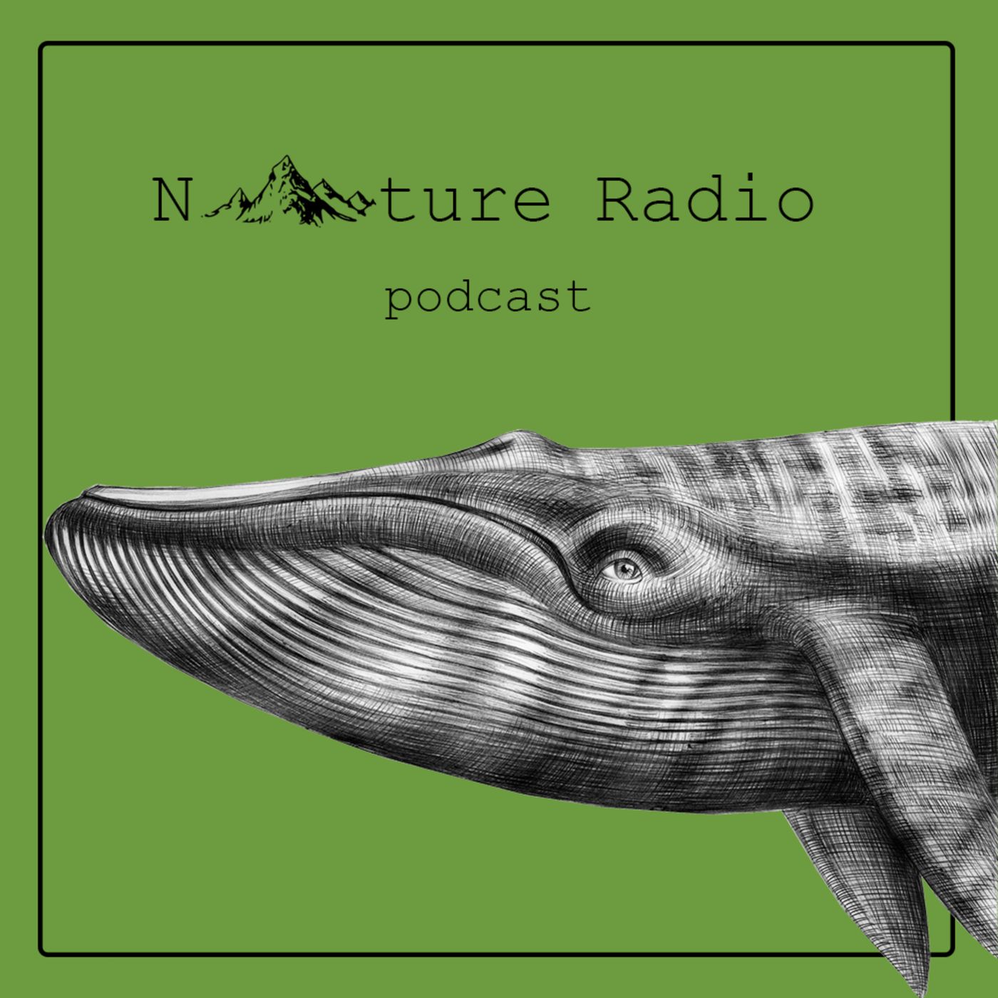 Nature Radio l رادیو طبیعت