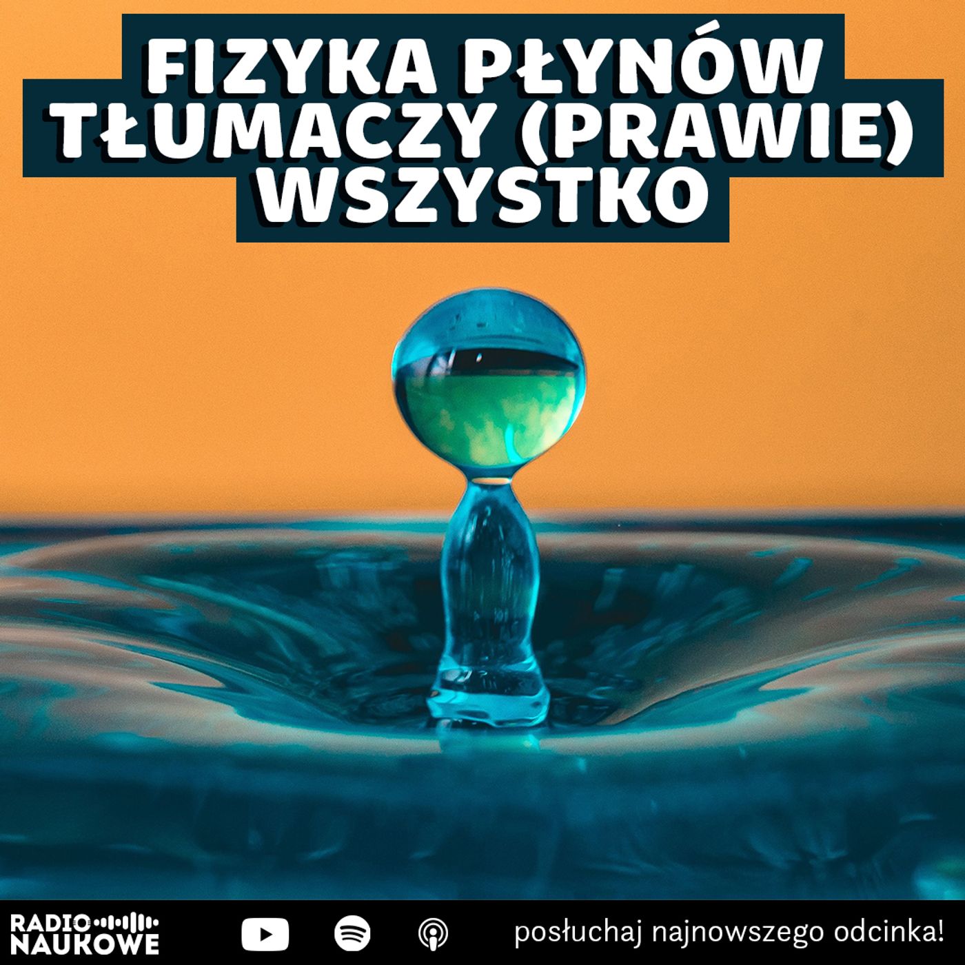 #309 Fizyka płynów – rządzi kroplą wody i wirującą galaktyką | prof. Maciej Lisicki