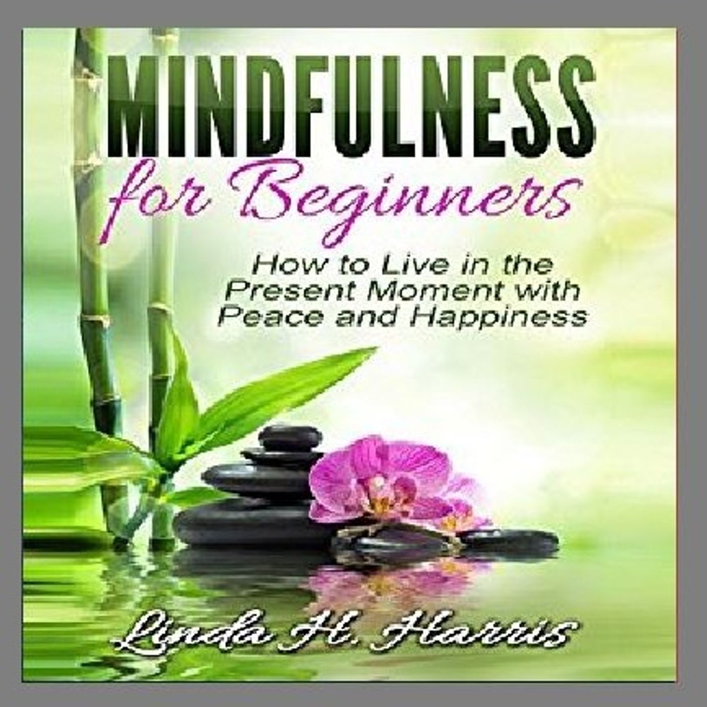 Mindfulness for Beginners By Linda H. Harris Narrated By Angel Clark episode artwork