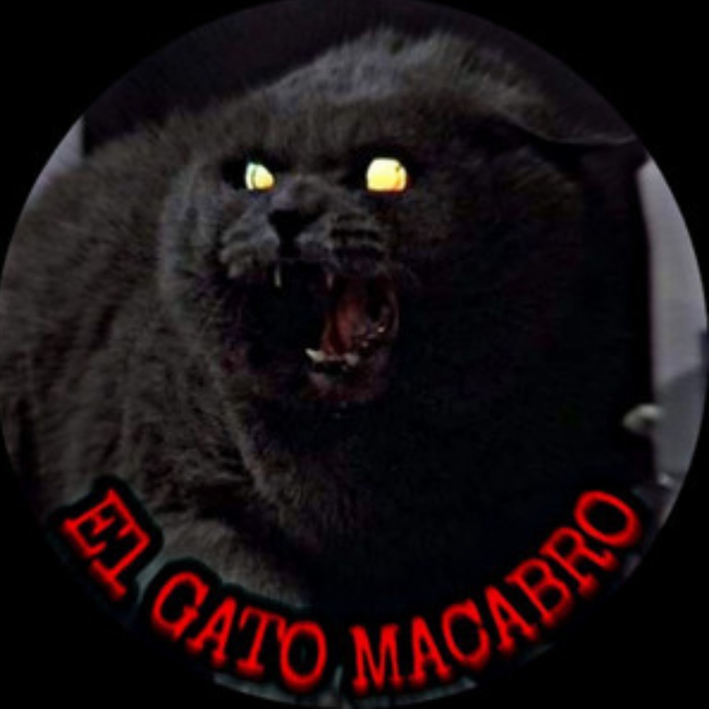 Gato Macabro