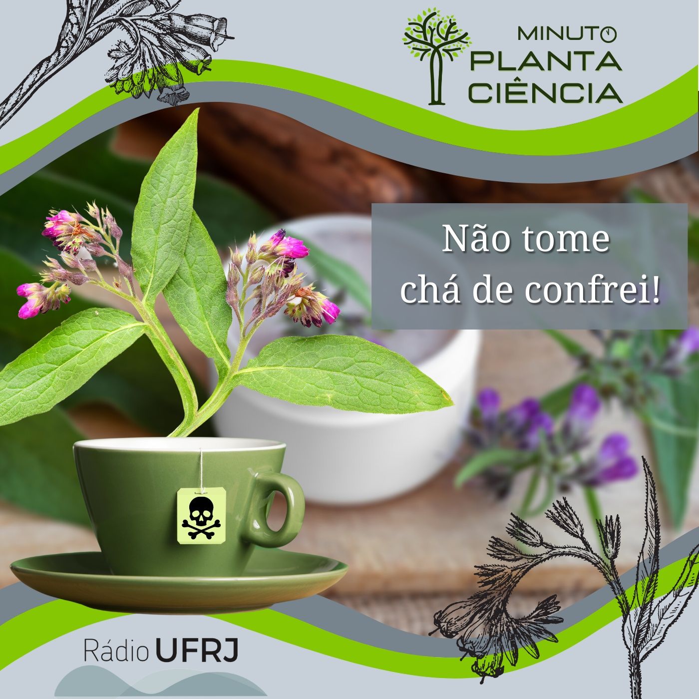 PlantaCiência