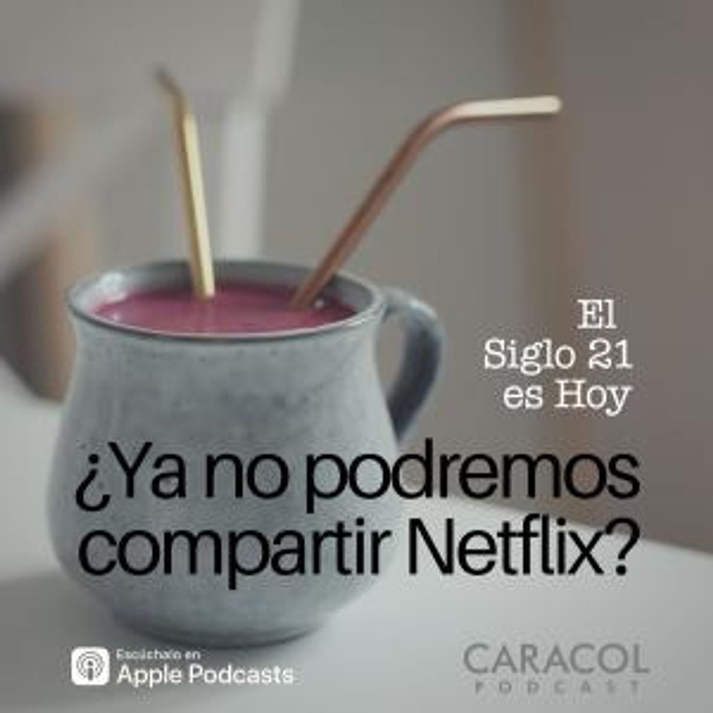 ¿Ya no podremos compartir Netflix?